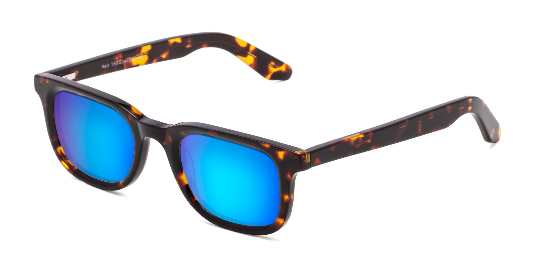 Angle of Reid in Tortoise with Blue Mirrored Lenses