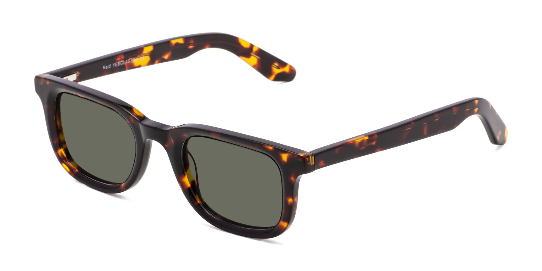 Angle of Reid in Tortoise with Gray Polarized Lenses