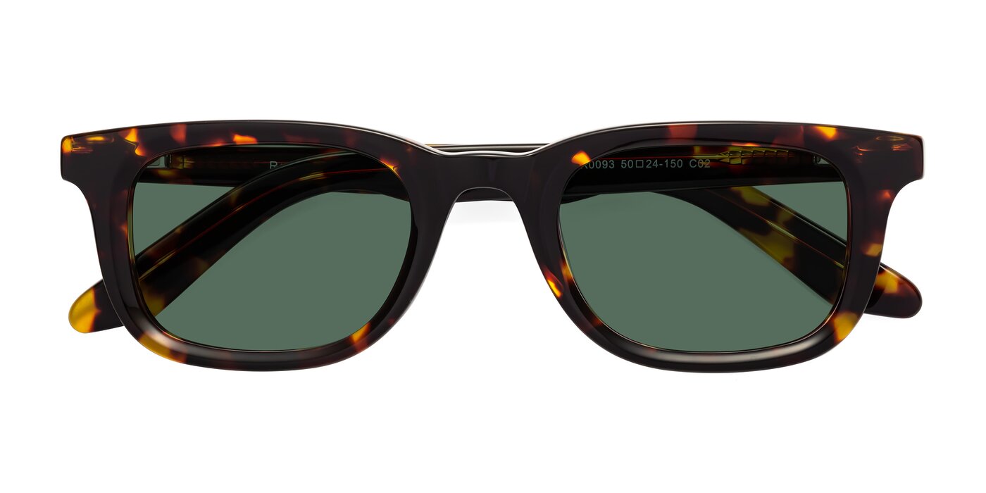 Reid - Tortoise Polarized Sunglasses