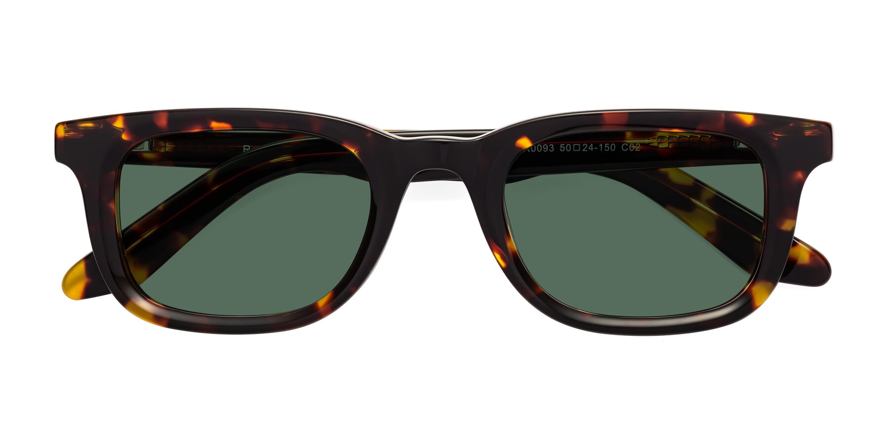 Folded Front of Reid in Tortoise with Green Polarized Lenses