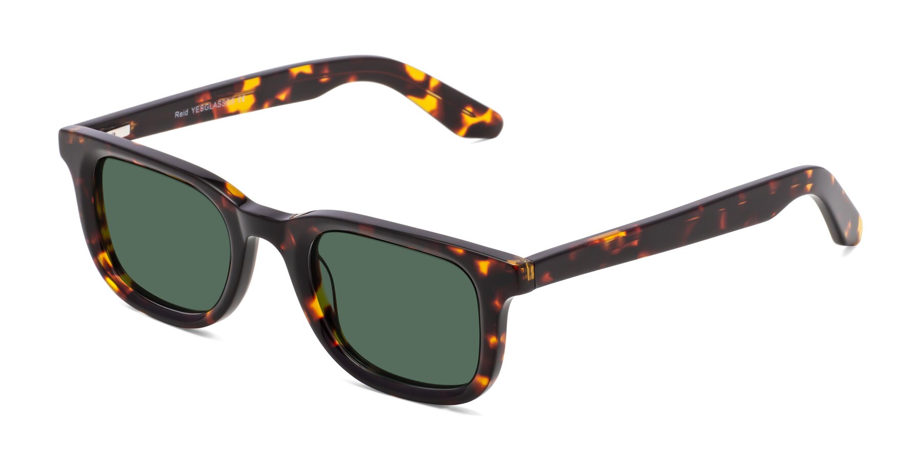 Angle of Reid in Tortoise with Green Polarized Lenses