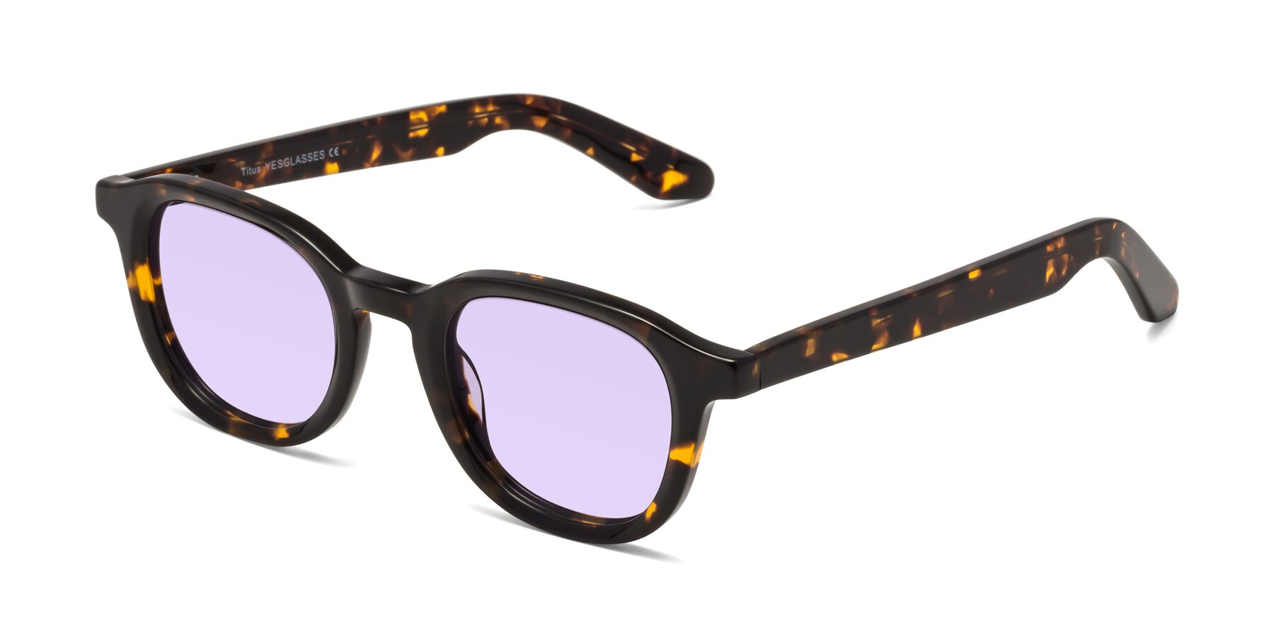 Angle of Titus in Tortoise with Light Purple Tinted Lenses