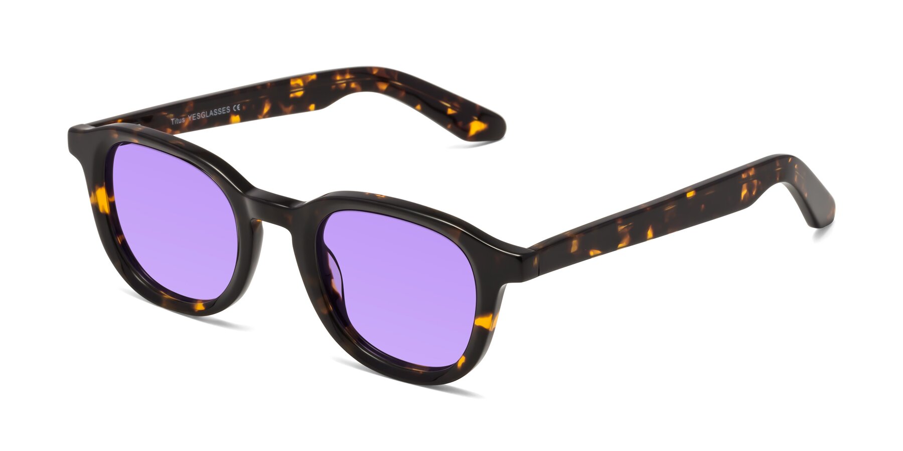 Angle of Titus in Tortoise with Medium Purple Tinted Lenses