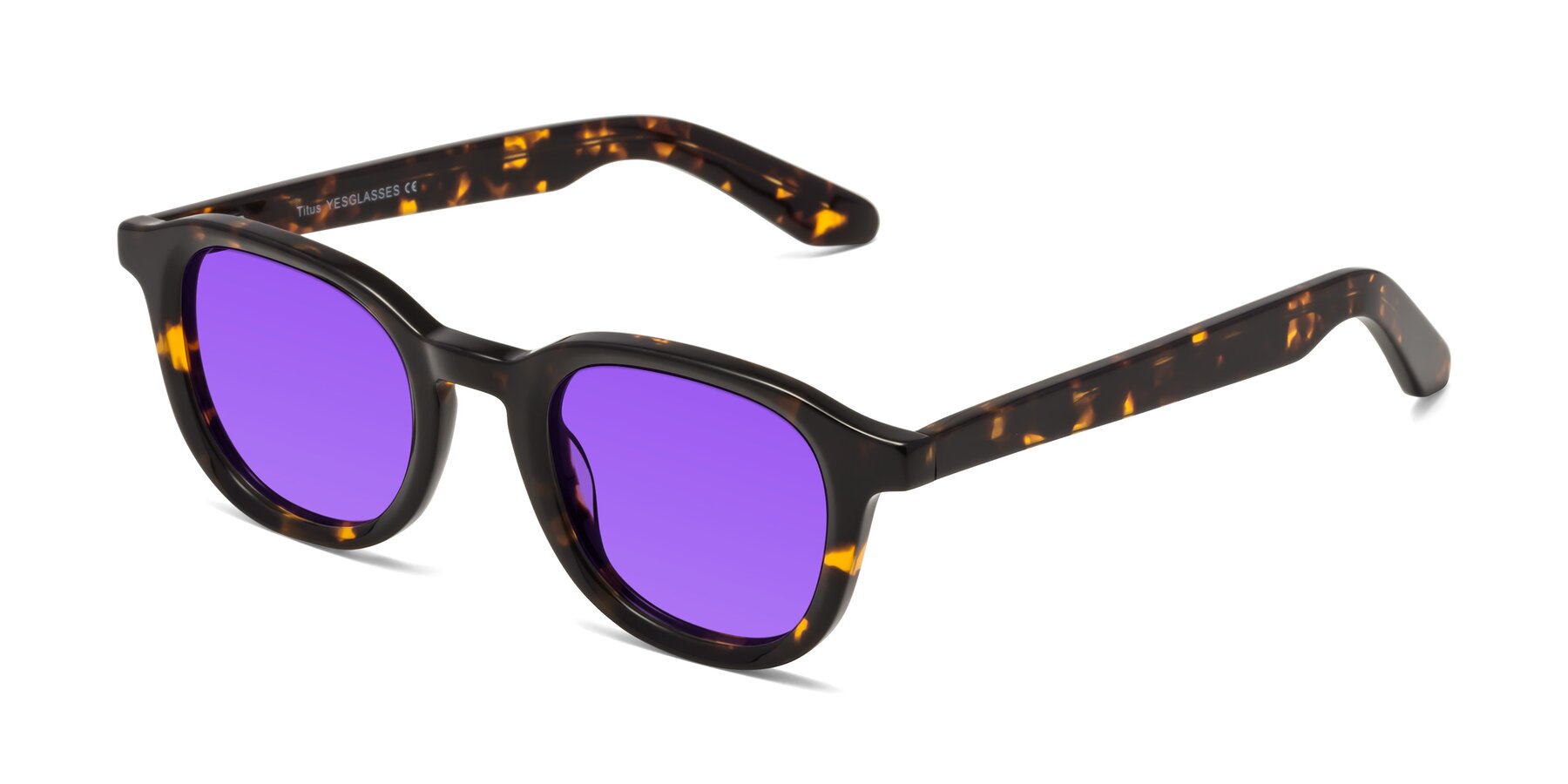 Angle of Titus in Tortoise with Purple Tinted Lenses