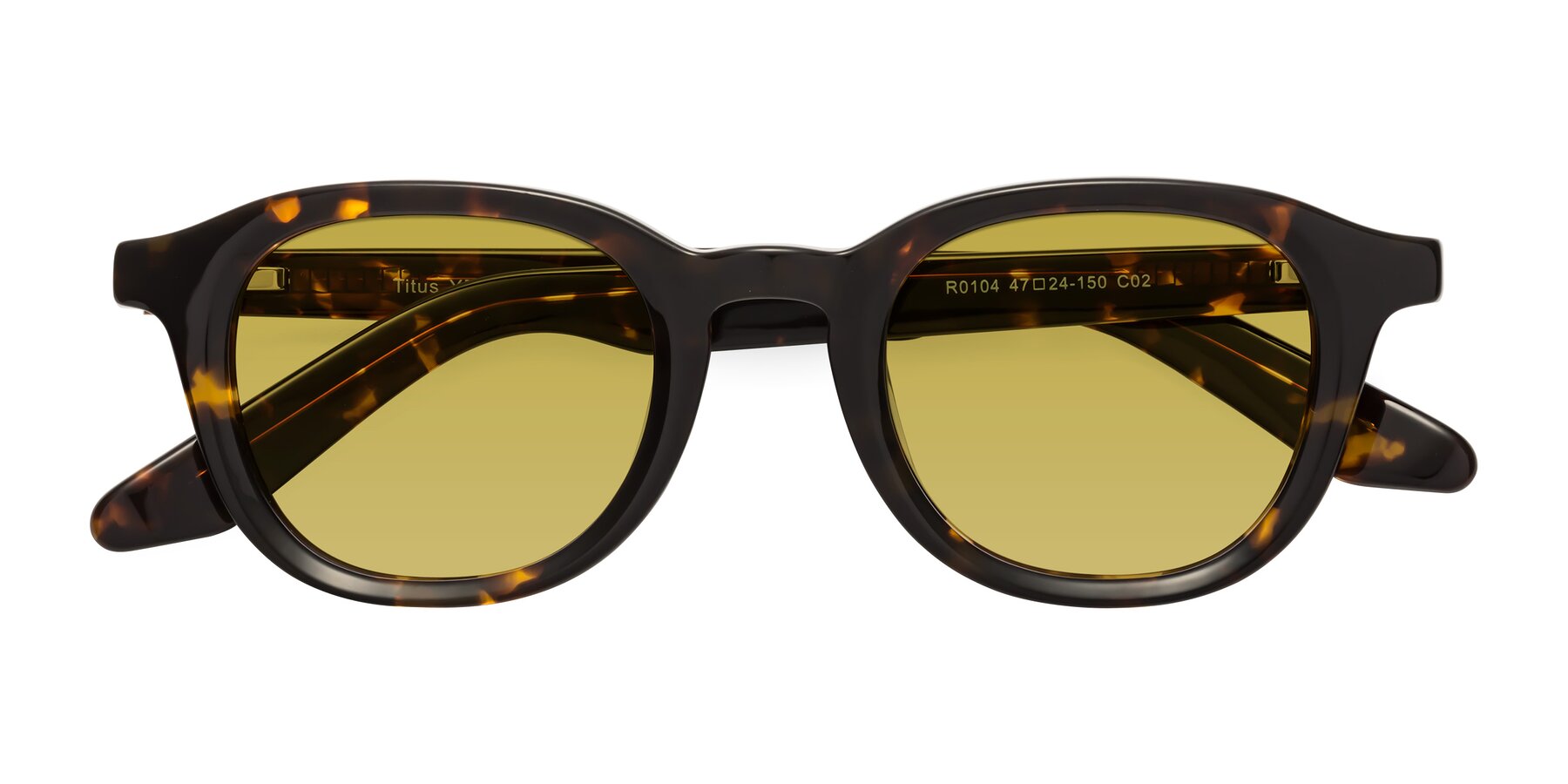 Folded Front of Titus in Tortoise with Champagne Tinted Lenses