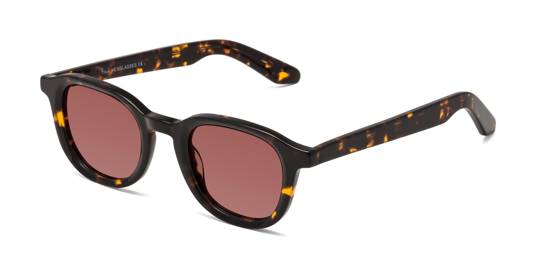 Angle of Titus in Tortoise with Garnet Tinted Lenses