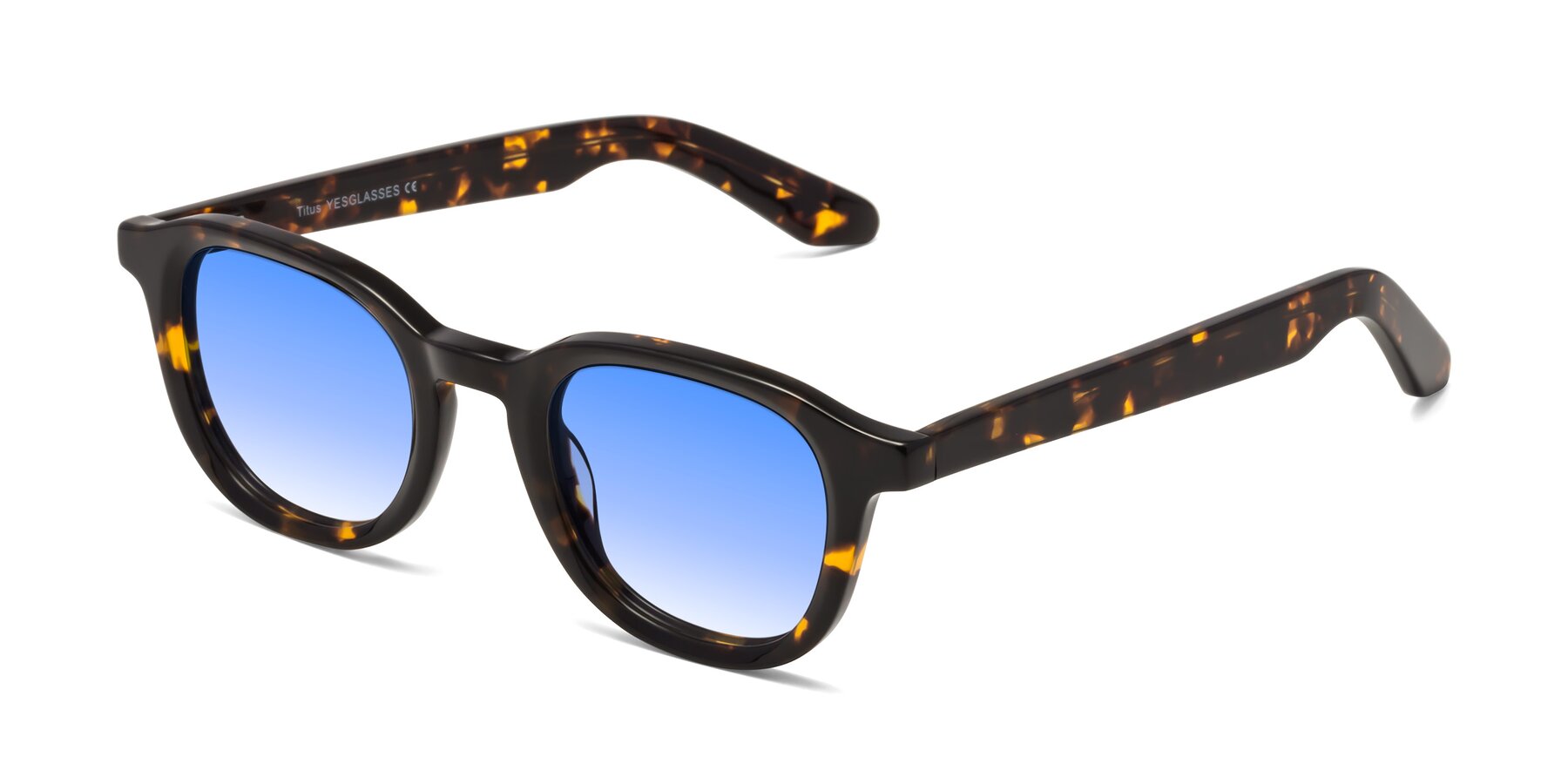 Angle of Titus in Tortoise with Blue Gradient Lenses
