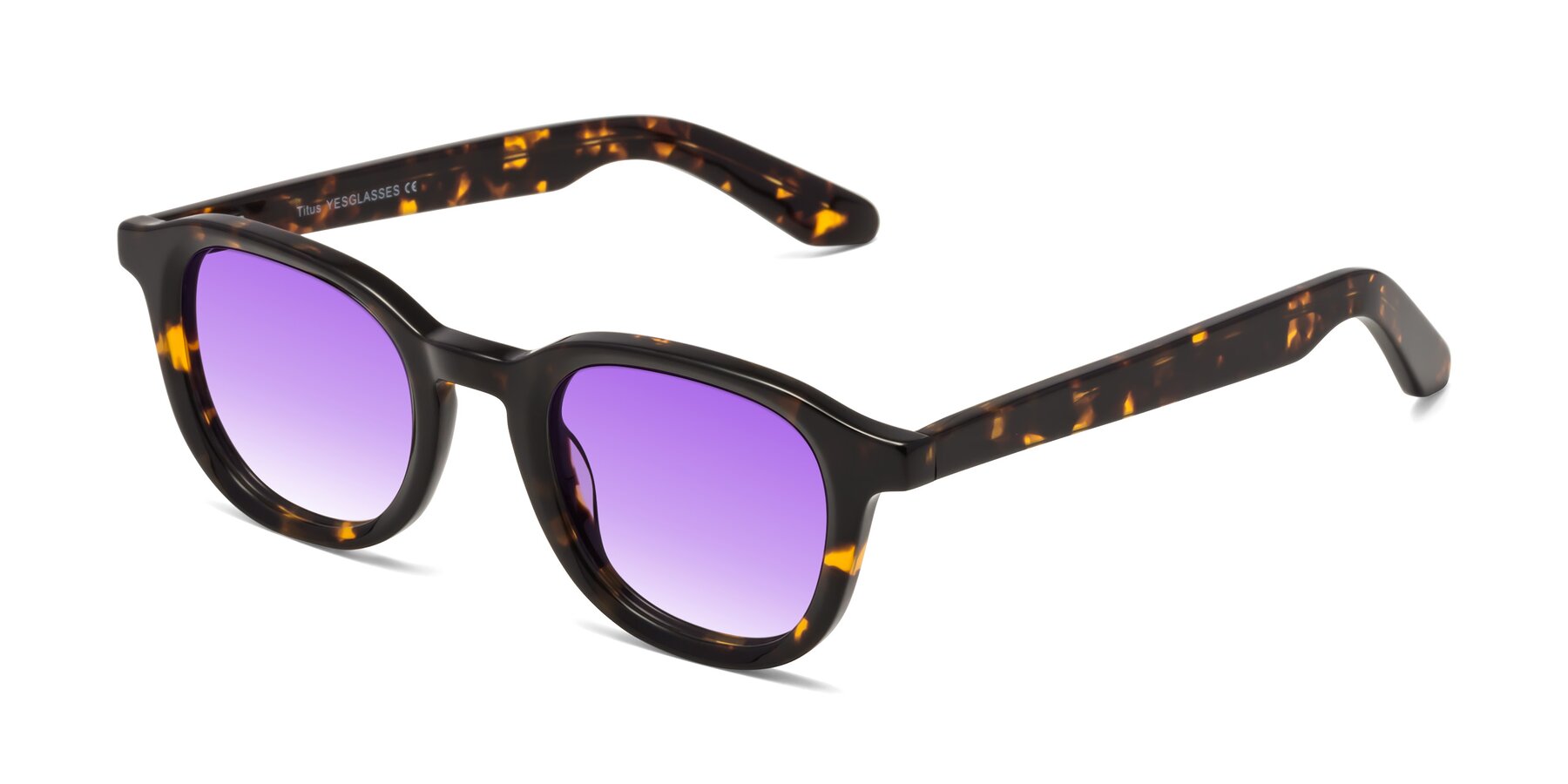 Angle of Titus in Tortoise with Purple Gradient Lenses