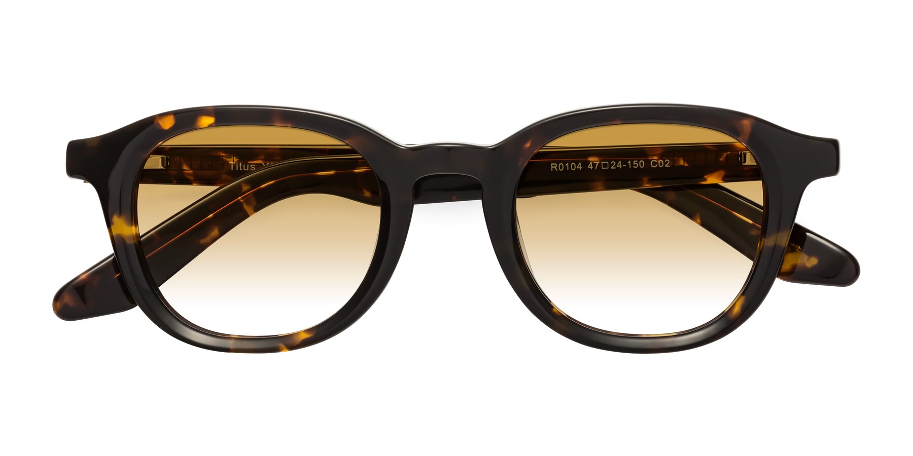 Folded Front of Titus in Tortoise with Champagne Gradient Lenses