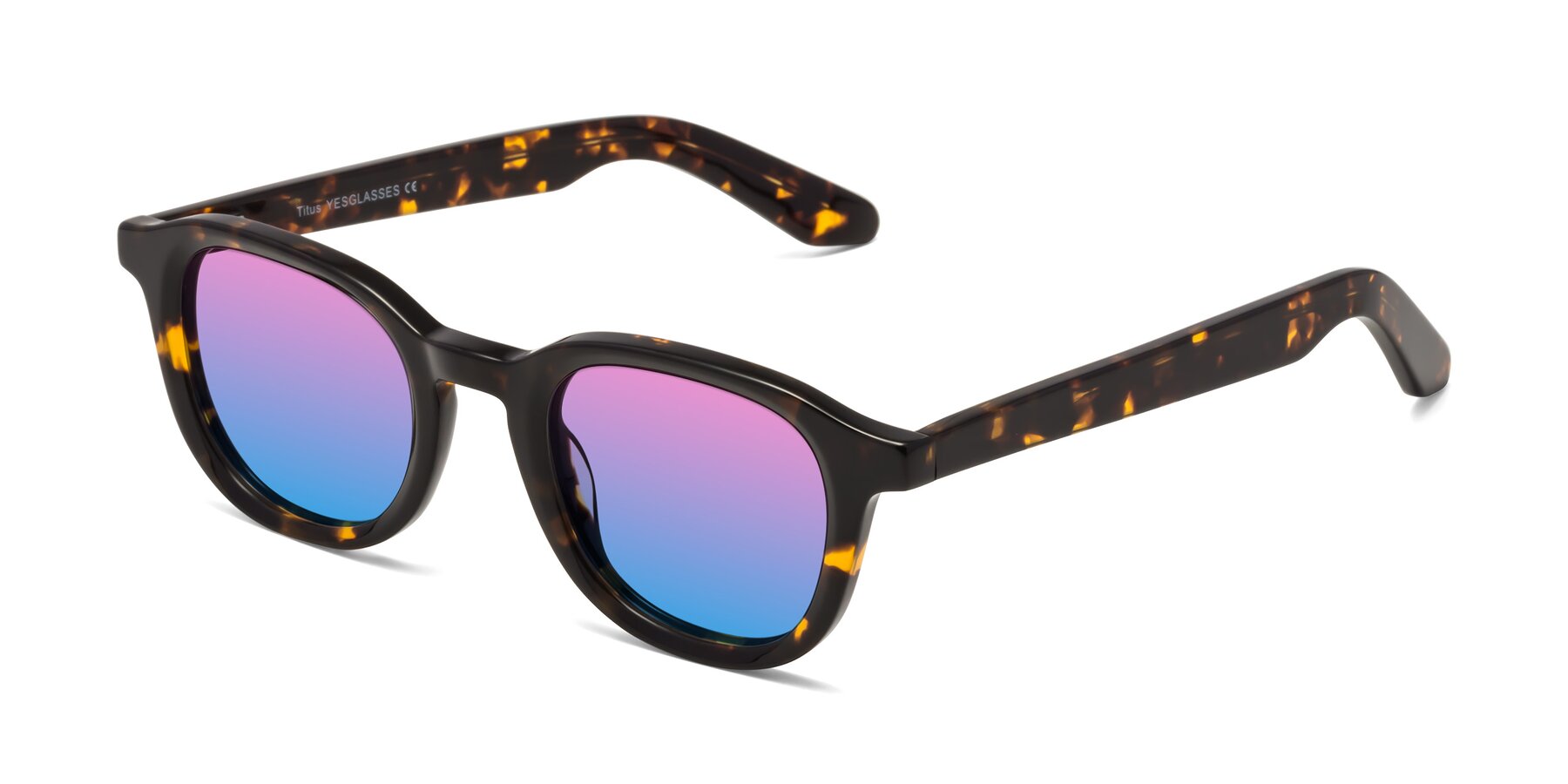 Angle of Titus in Tortoise with Pink / Blue Gradient Lenses