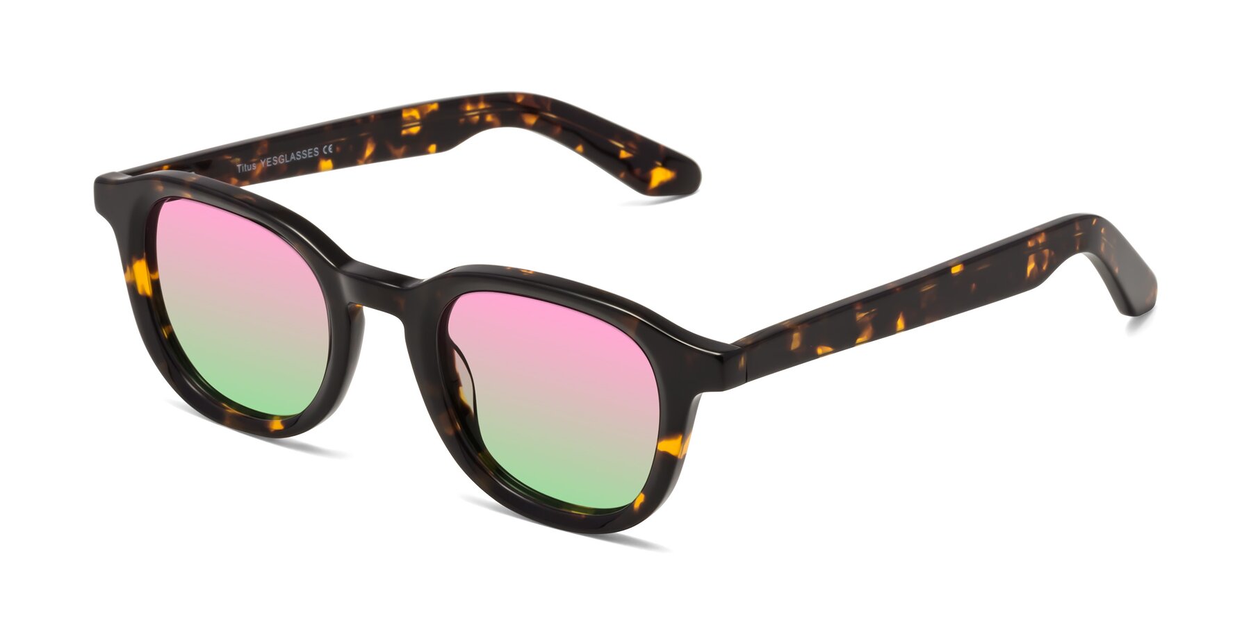 Angle of Titus in Tortoise with Pink / Green Gradient Lenses