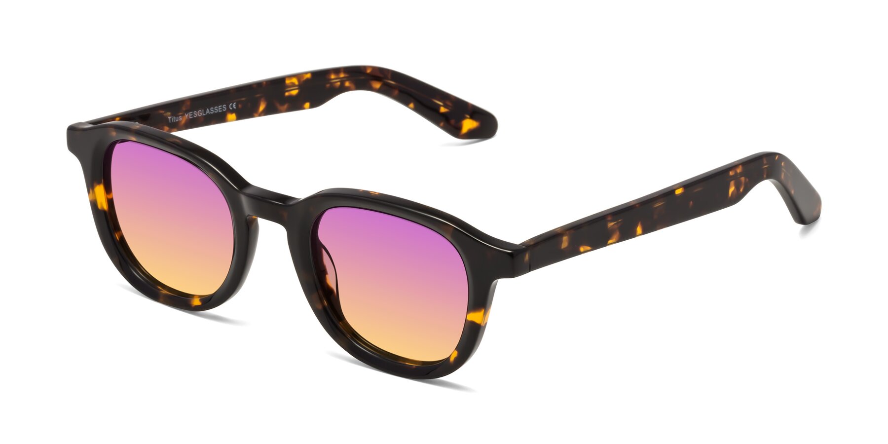 Angle of Titus in Tortoise with Purple / Yellow Gradient Lenses