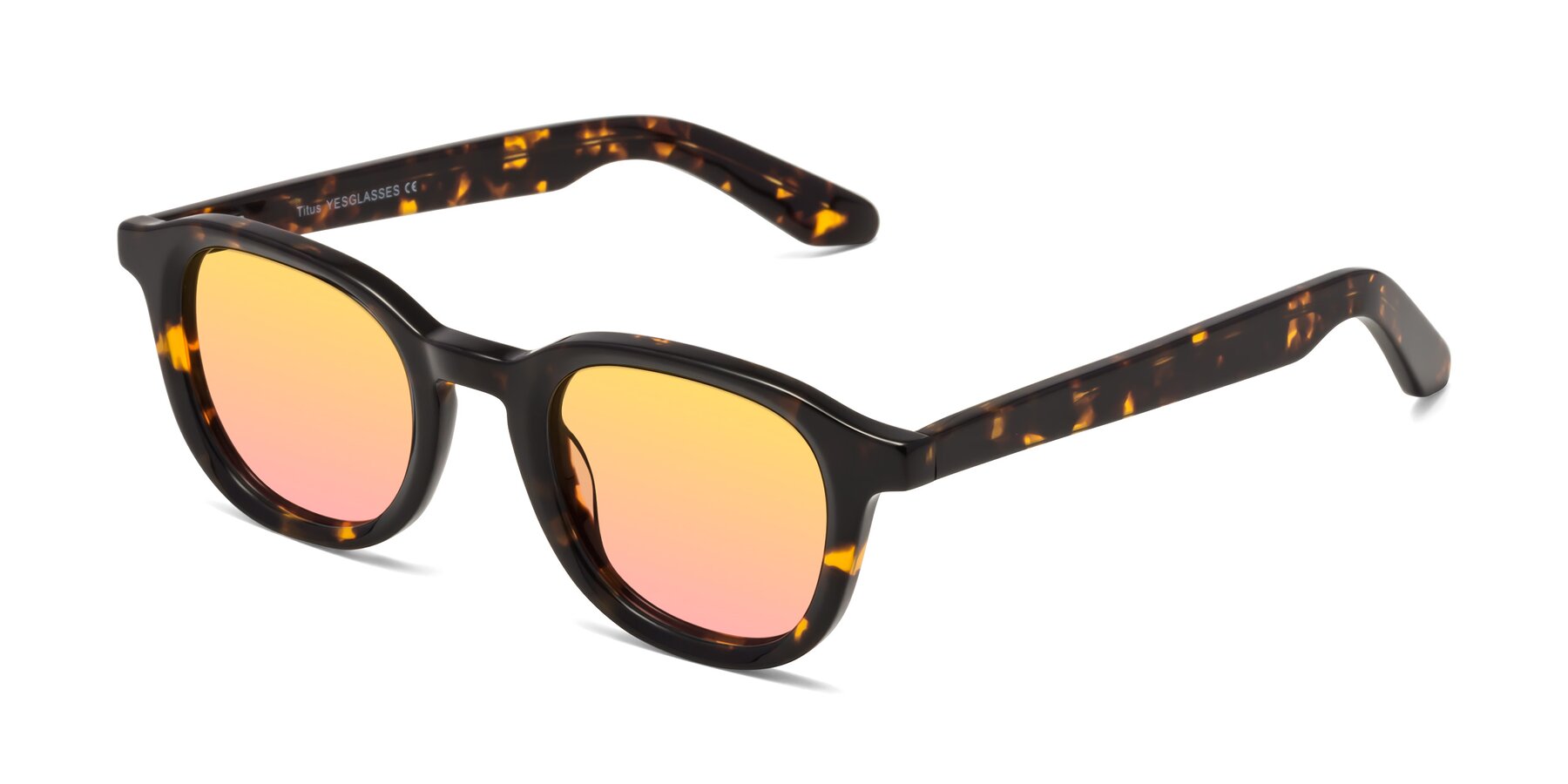Angle of Titus in Tortoise with Yellow / Pink Gradient Lenses