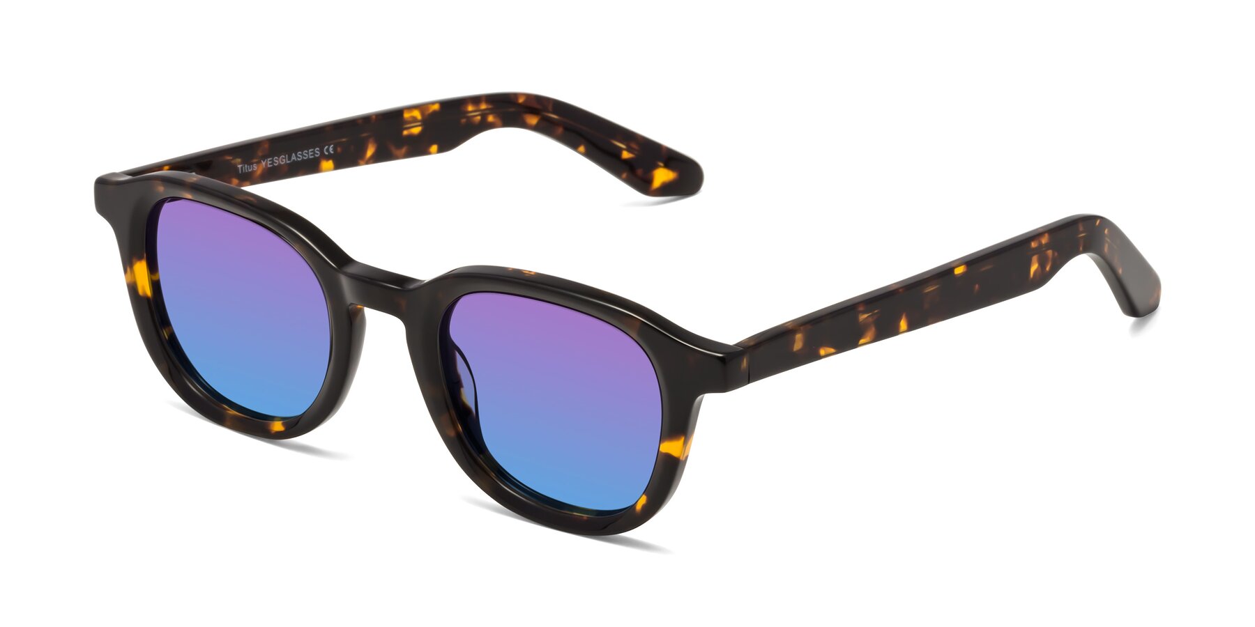 Angle of Titus in Tortoise with Purple / Blue Gradient Lenses