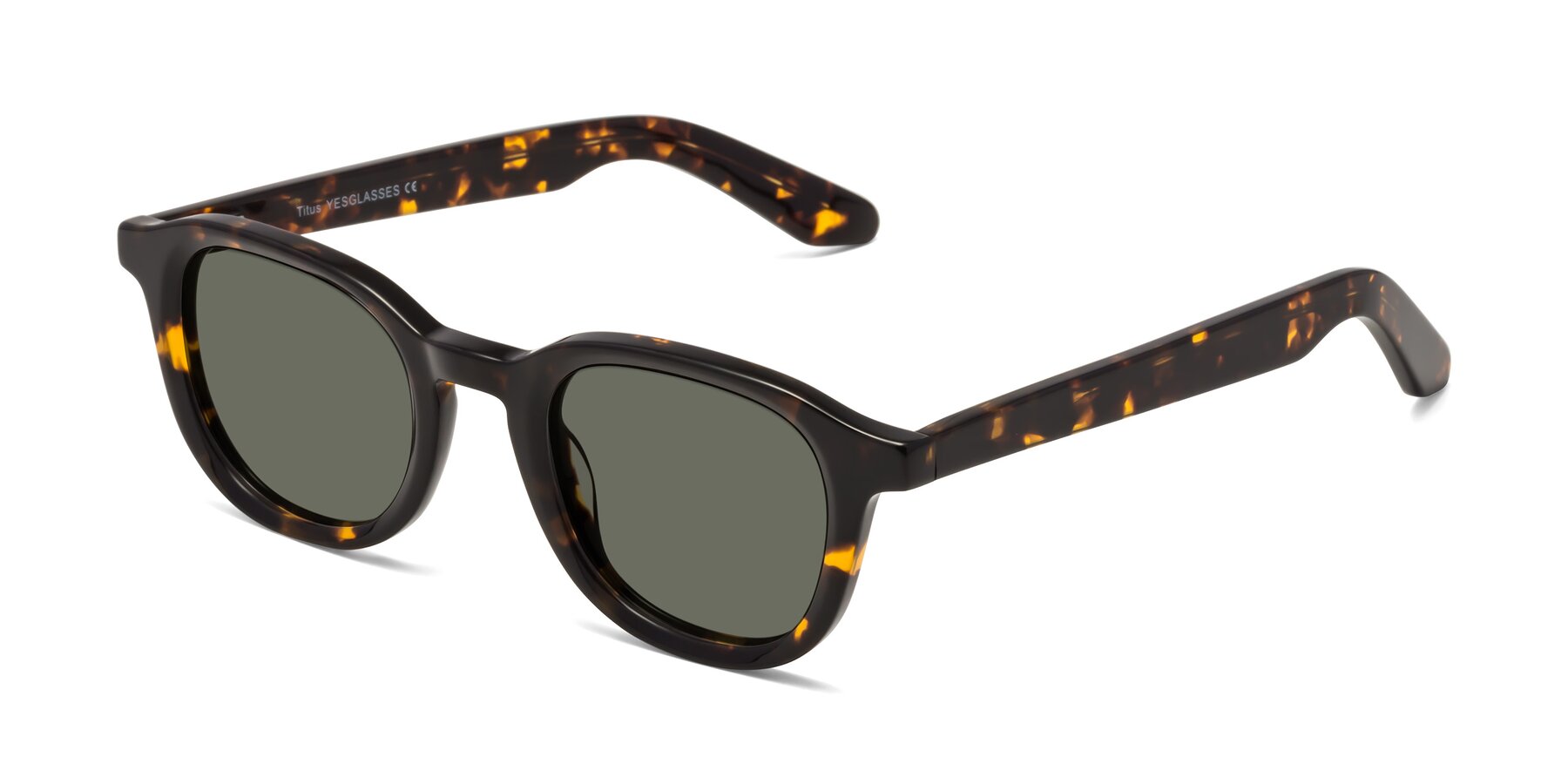 Angle of Titus in Tortoise with Gray Polarized Lenses