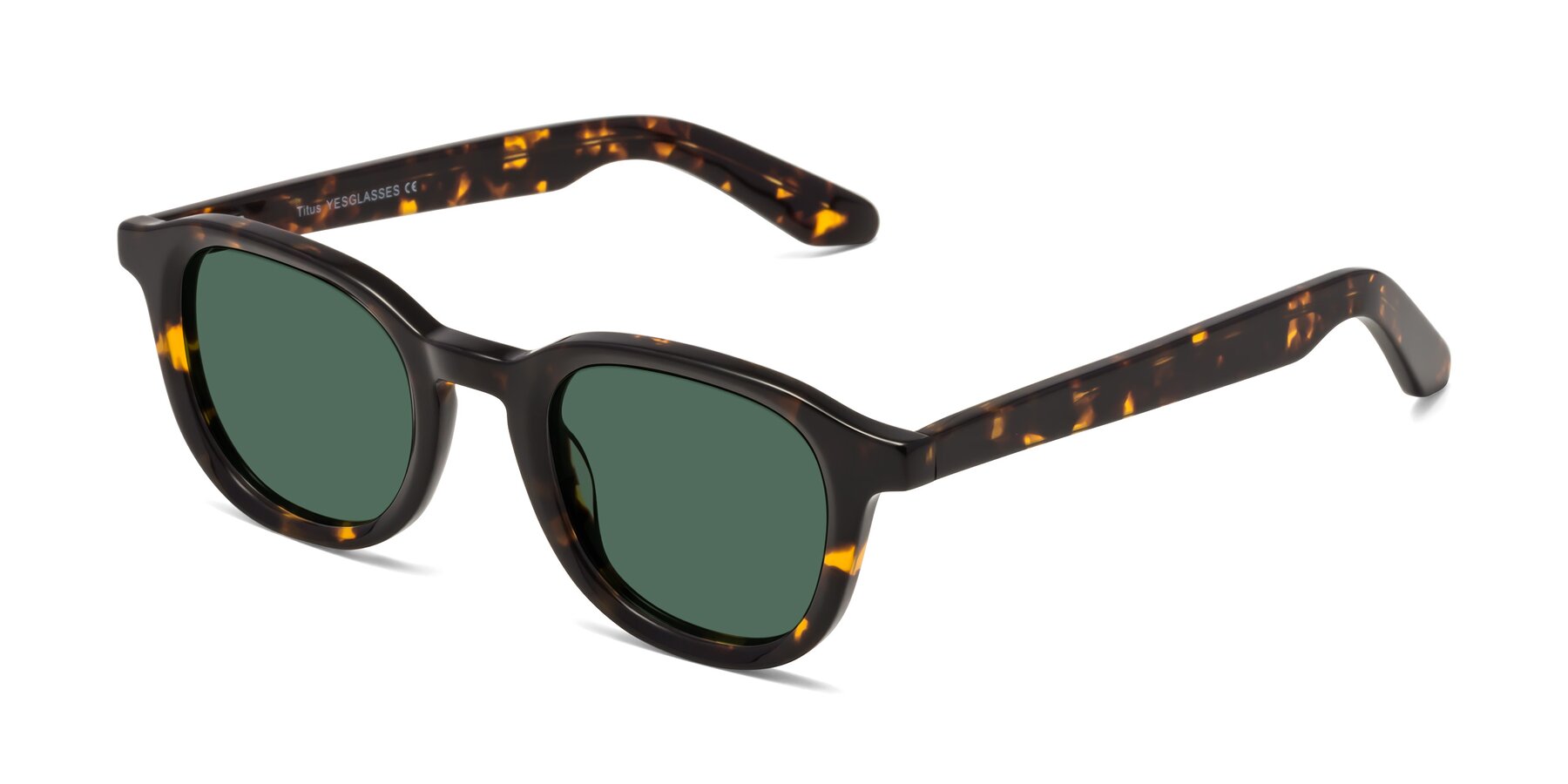 Angle of Titus in Tortoise with Green Polarized Lenses