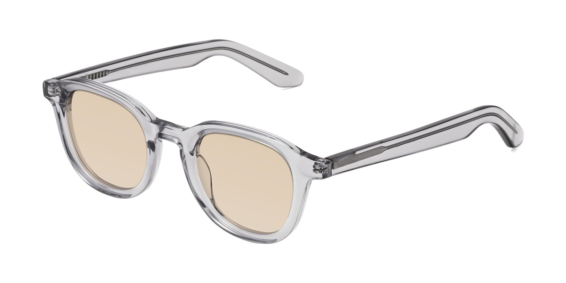 Angle of Titus in Transparent Gray with Light Brown Tinted Lenses