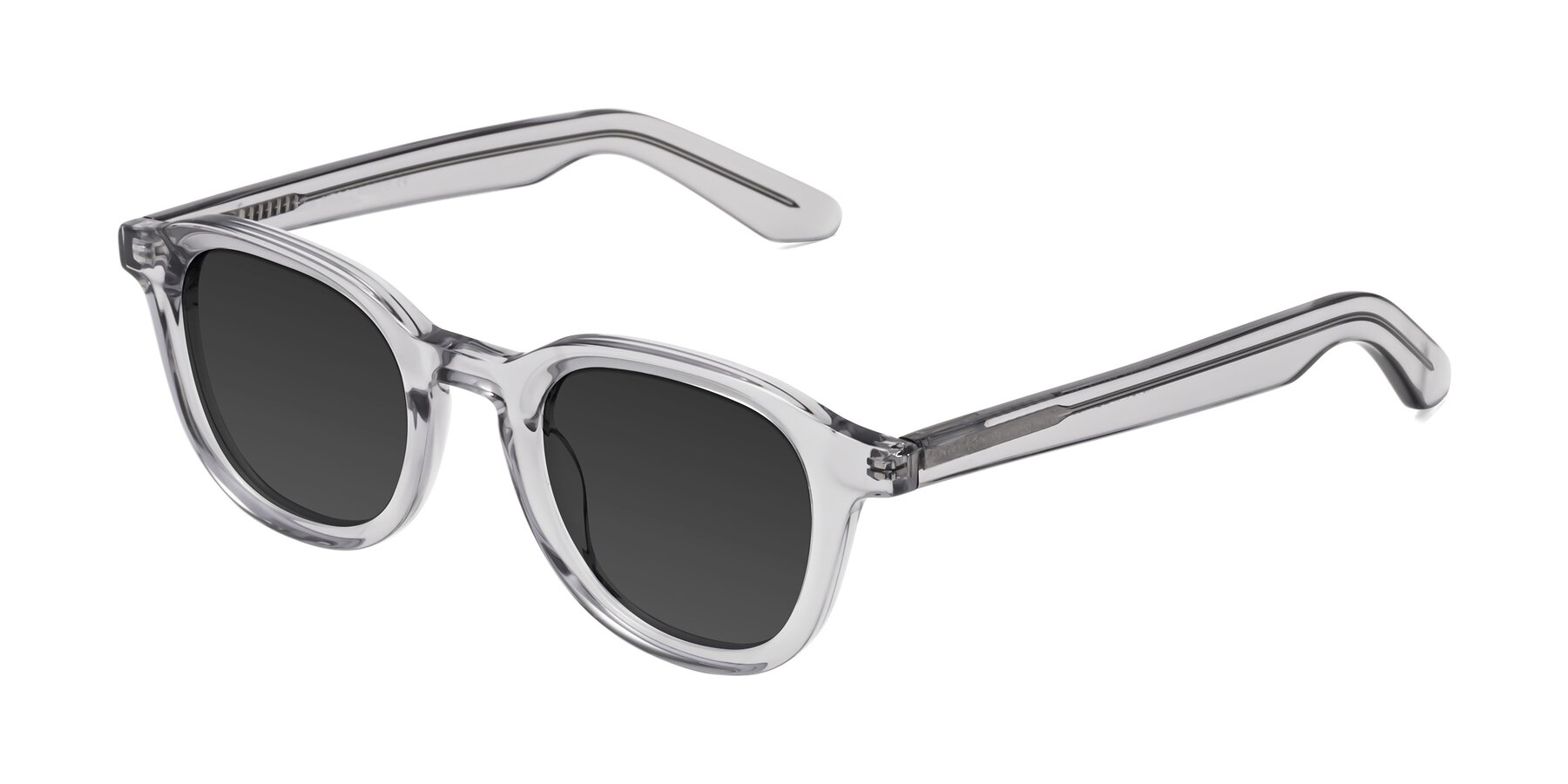 Angle of Titus in Transparent Gray with Gray Tinted Lenses