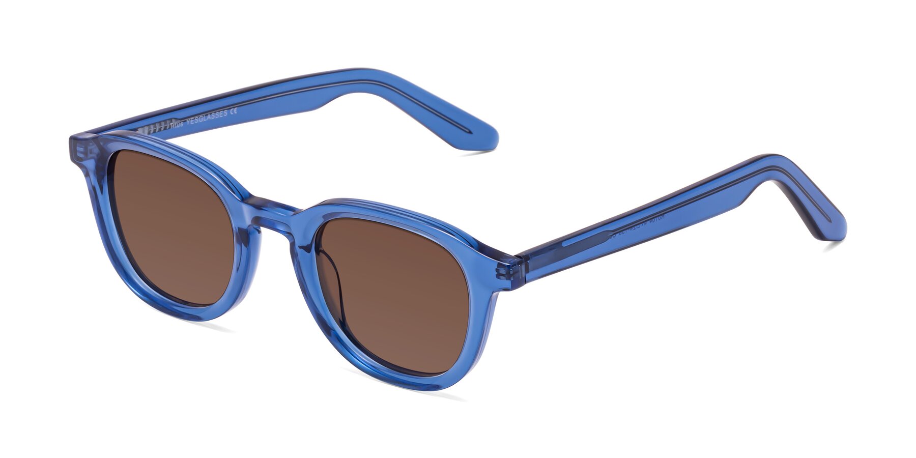 Angle of Titus in Translucent Blue with Brown Tinted Lenses