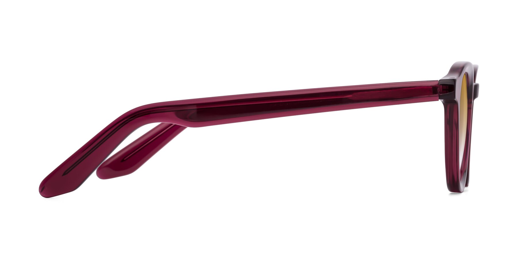 Side of Titus in Wine with Champagne Gradient Lenses