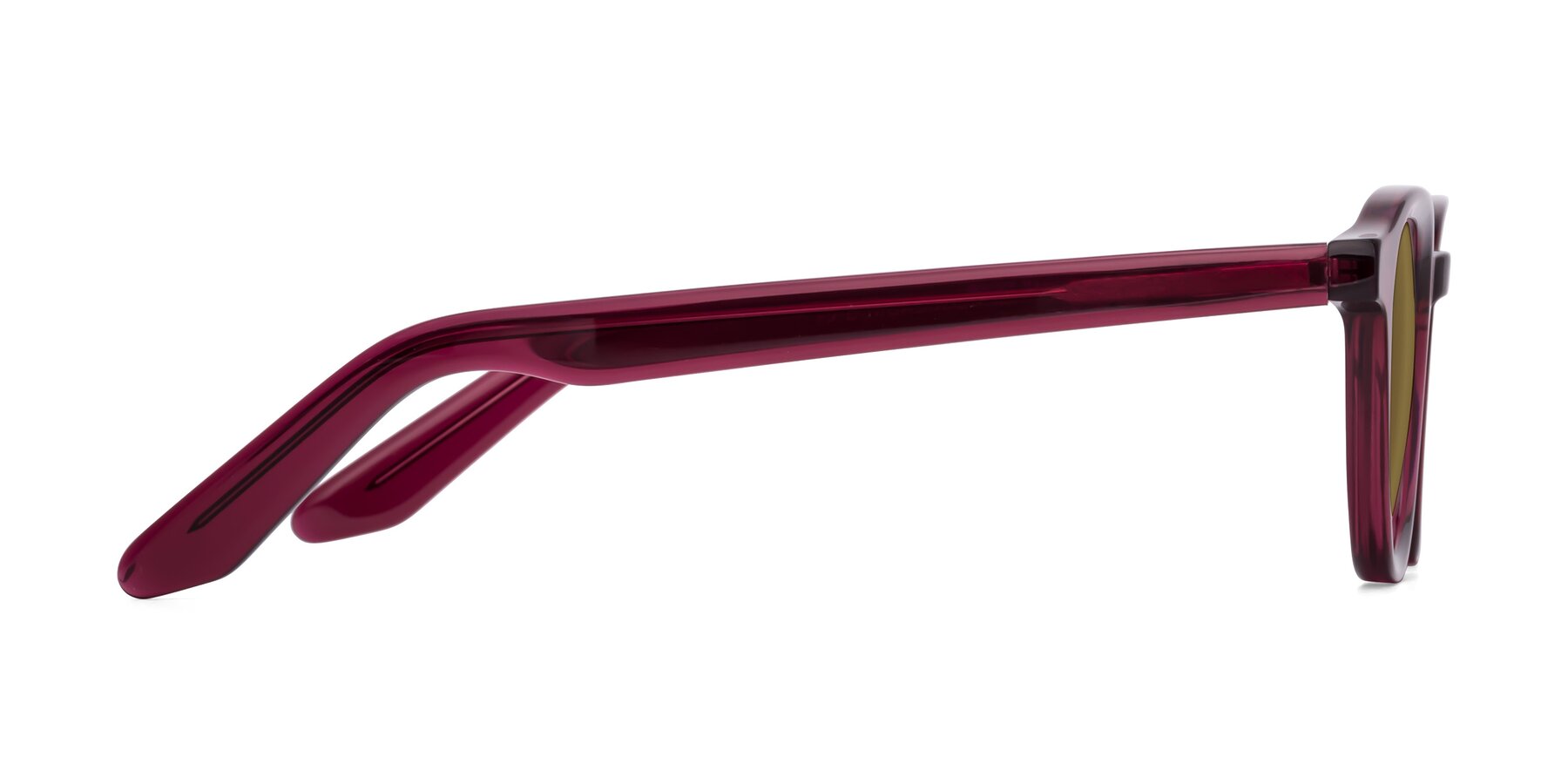 Side of Titus in Wine with Brown Polarized Lenses