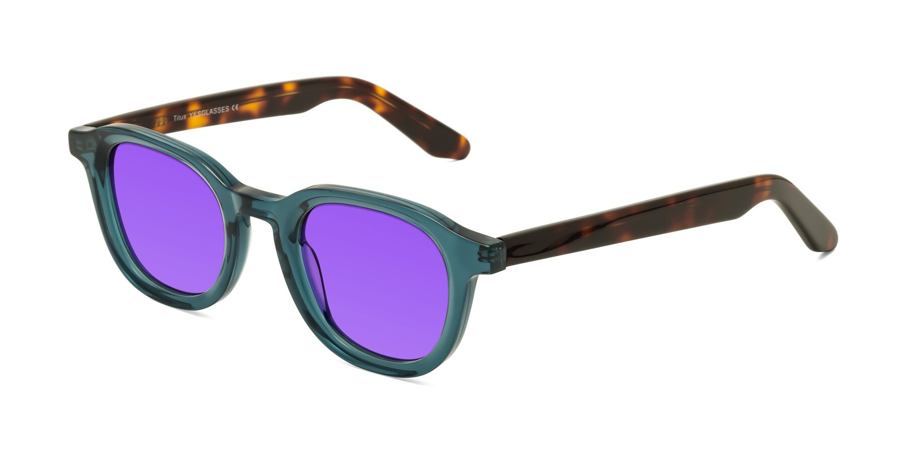 Angle of Titus in Peacock-Tortoise with Purple Tinted Lenses