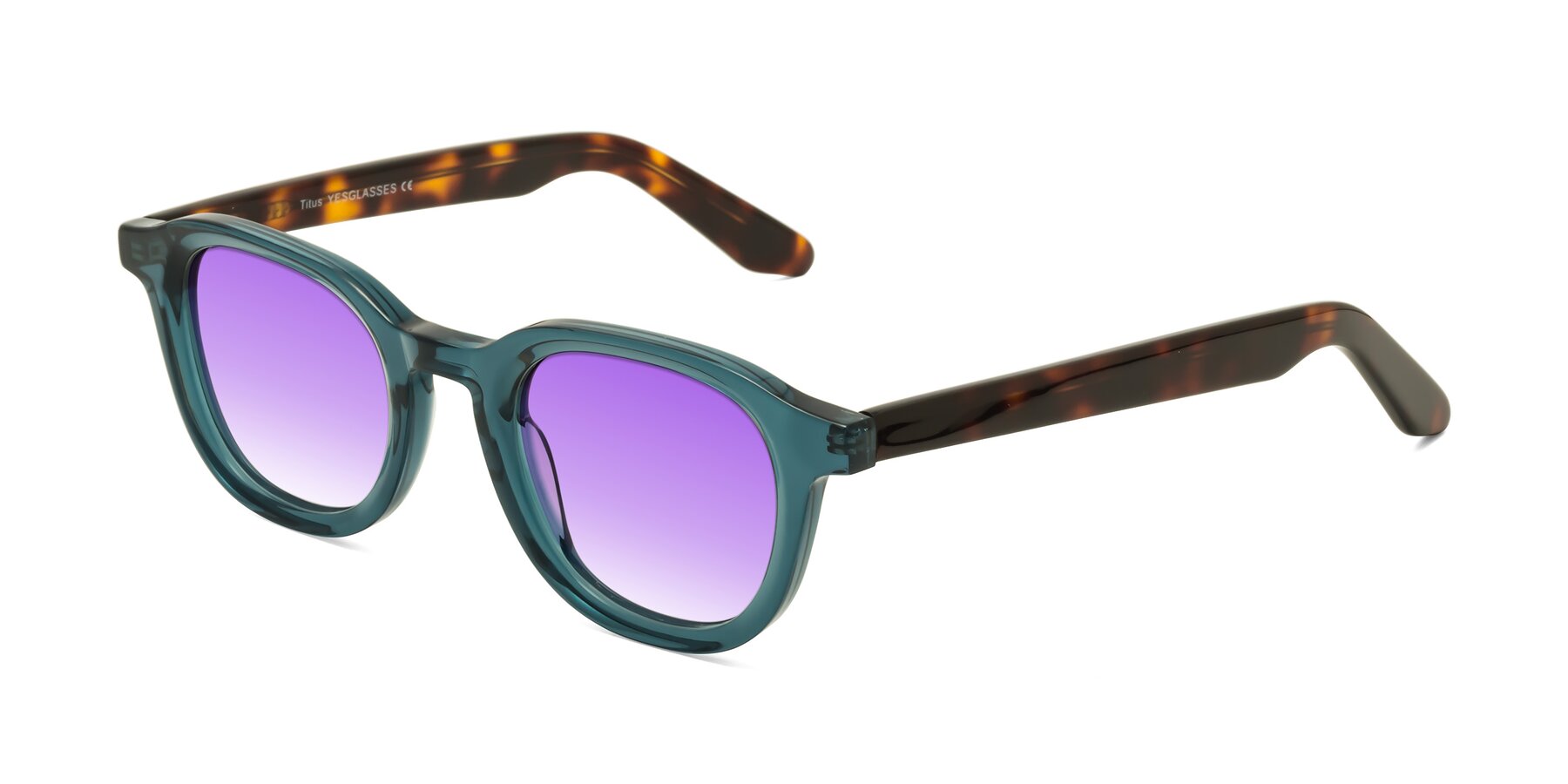 Angle of Titus in Peacock-Tortoise with Purple Gradient Lenses