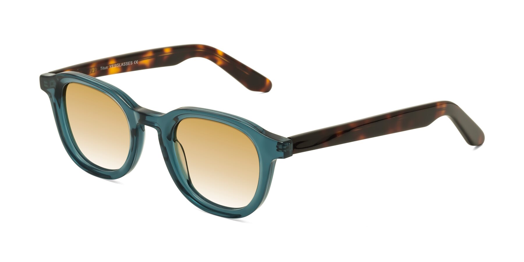 Angle of Titus in Peacock-Tortoise with Champagne Gradient Lenses