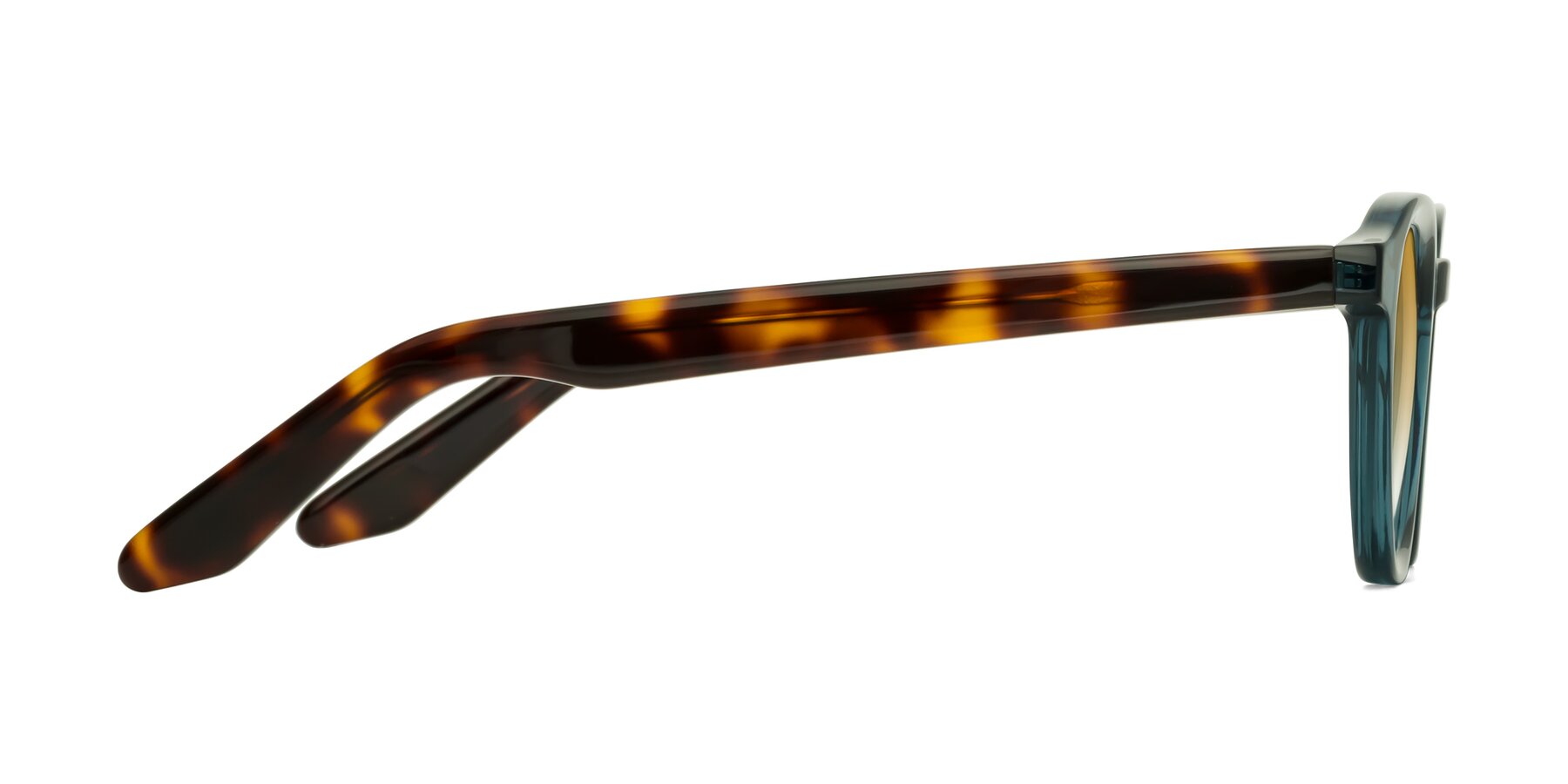 Side of Titus in Peacock-Tortoise with Champagne Gradient Lenses