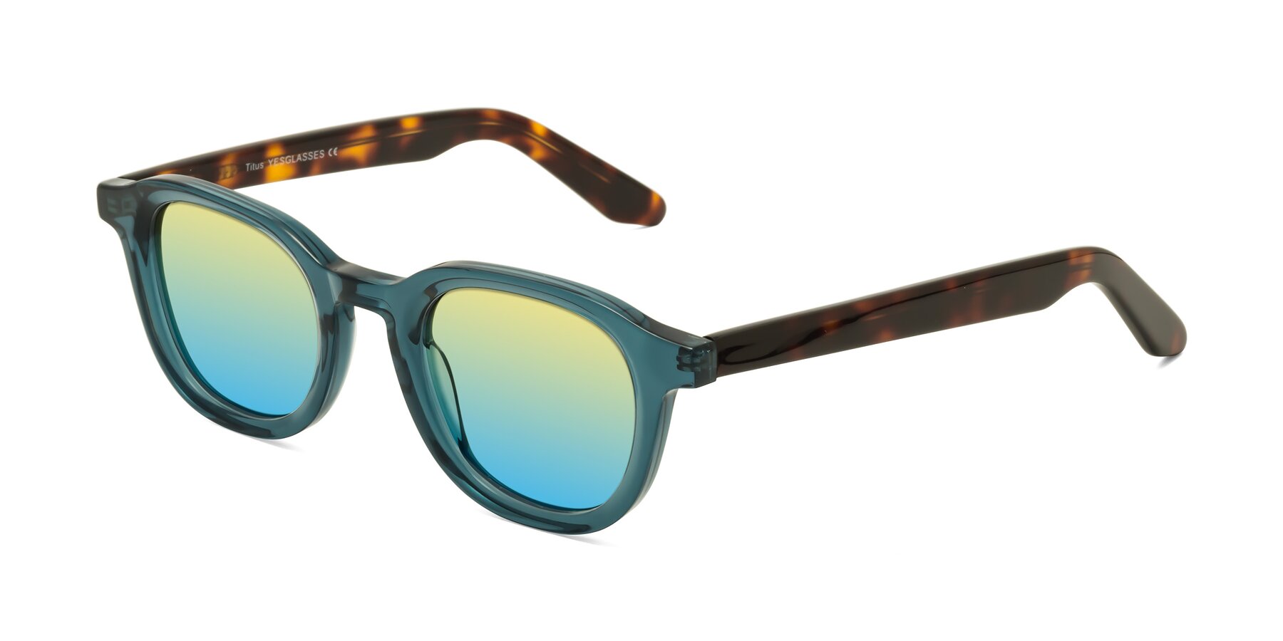 Angle of Titus in Peacock-Tortoise with Yellow / Blue Gradient Lenses