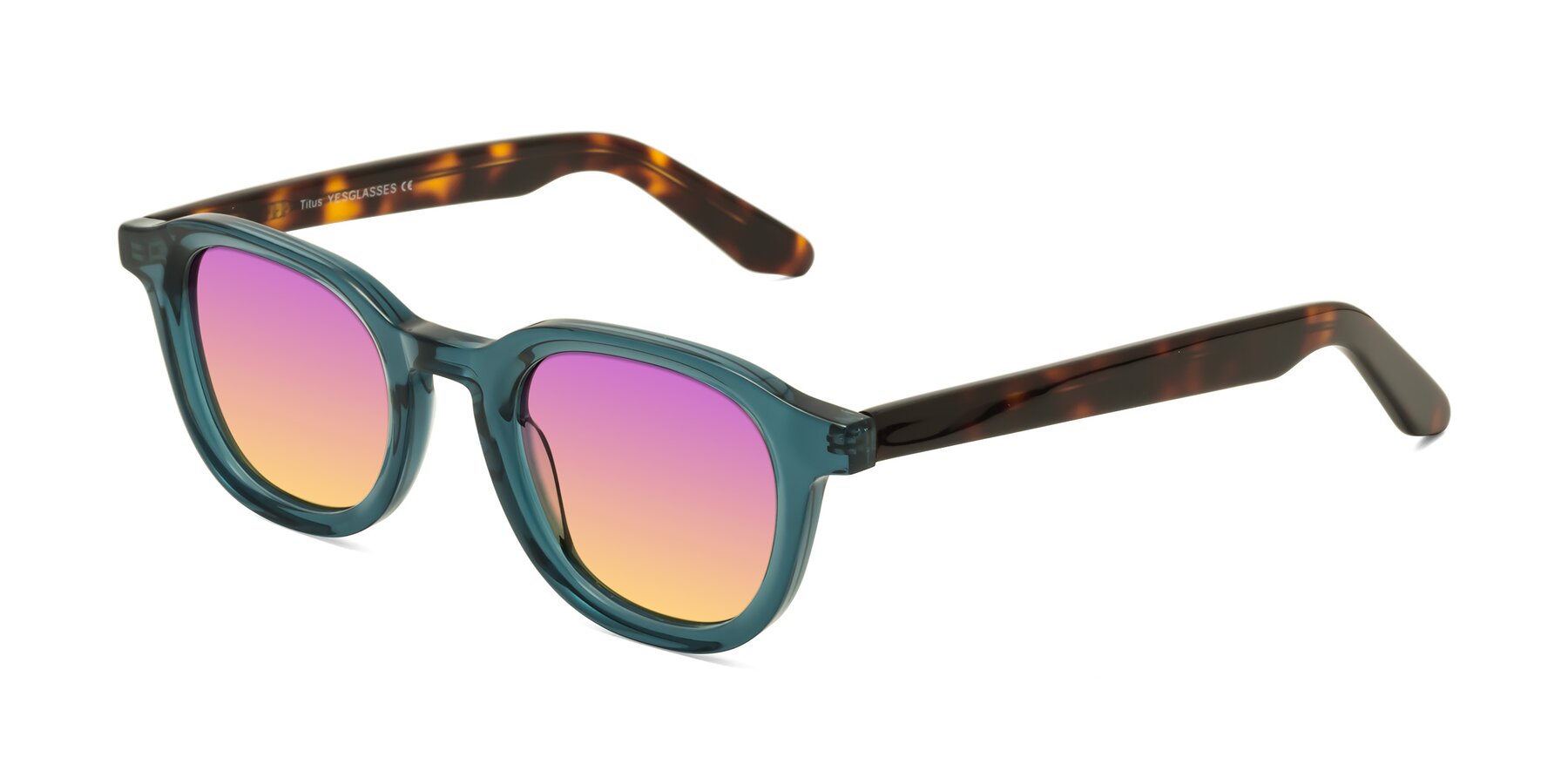 Angle of Titus in Peacock-Tortoise with Purple / Yellow Gradient Lenses