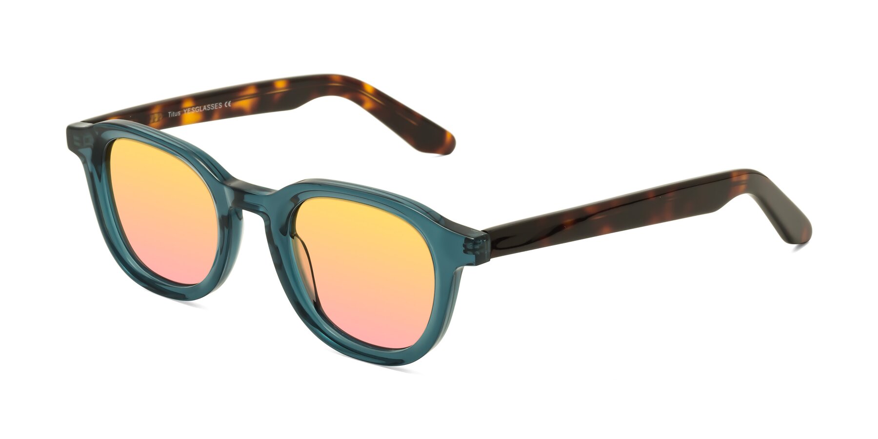 Angle of Titus in Peacock-Tortoise with Yellow / Pink Gradient Lenses