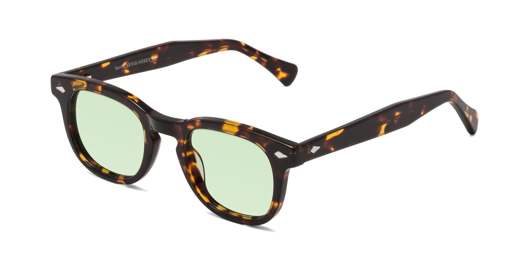 Angle of Tanna in Tortoise with Light Green Tinted Lenses