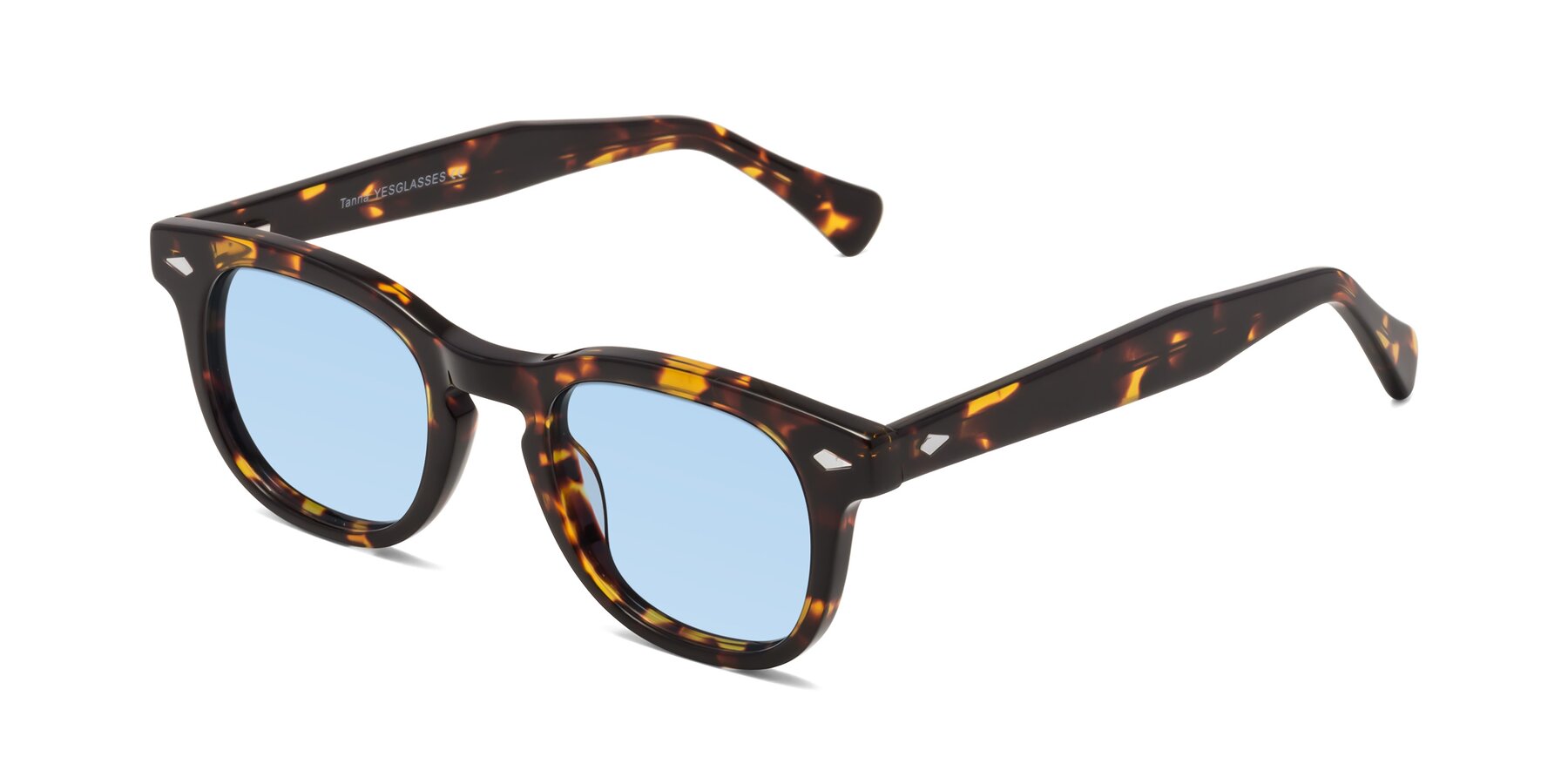 Angle of Tanna in Tortoise with Light Blue Tinted Lenses