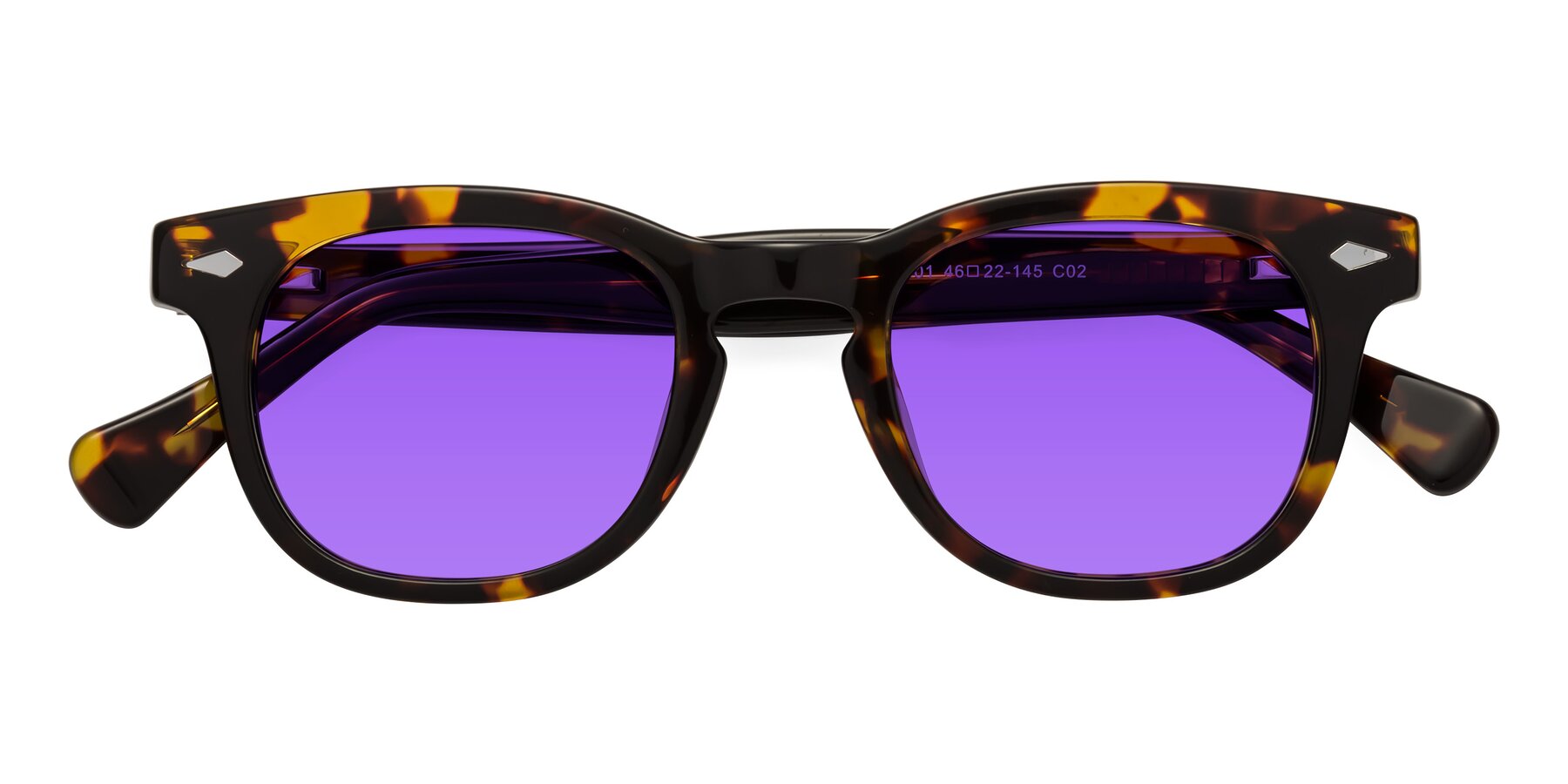 Folded Front of Tanna in Tortoise with Purple Tinted Lenses