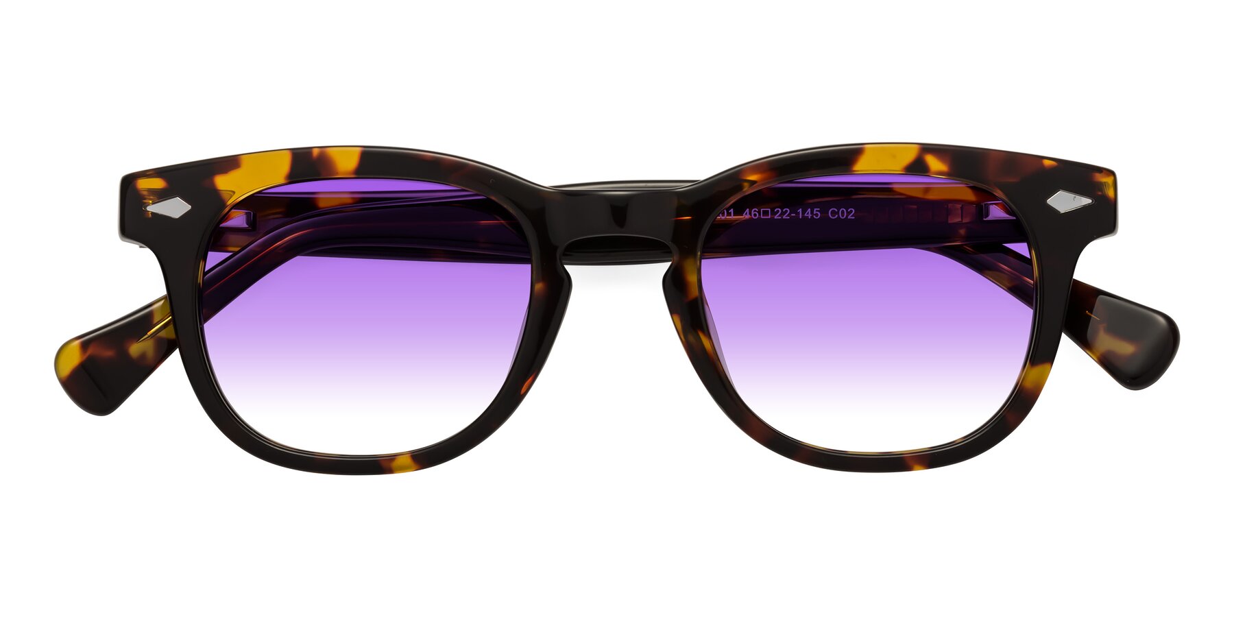 Folded Front of Tanna in Tortoise with Purple Gradient Lenses