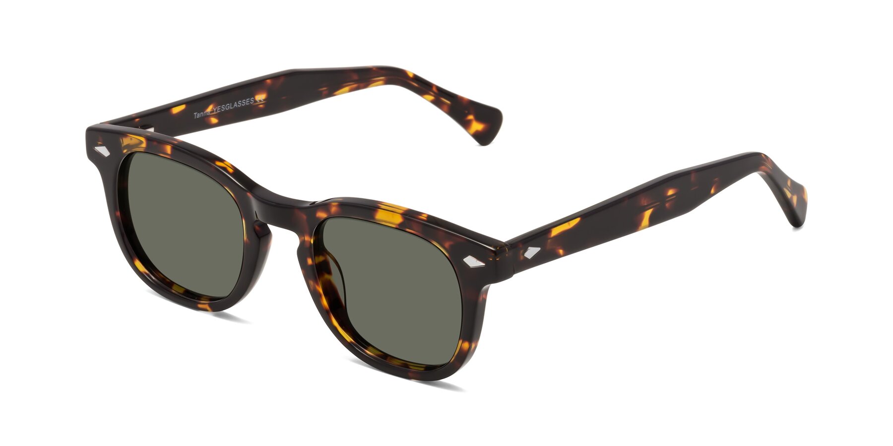 Angle of Tanna in Tortoise with Gray Polarized Lenses