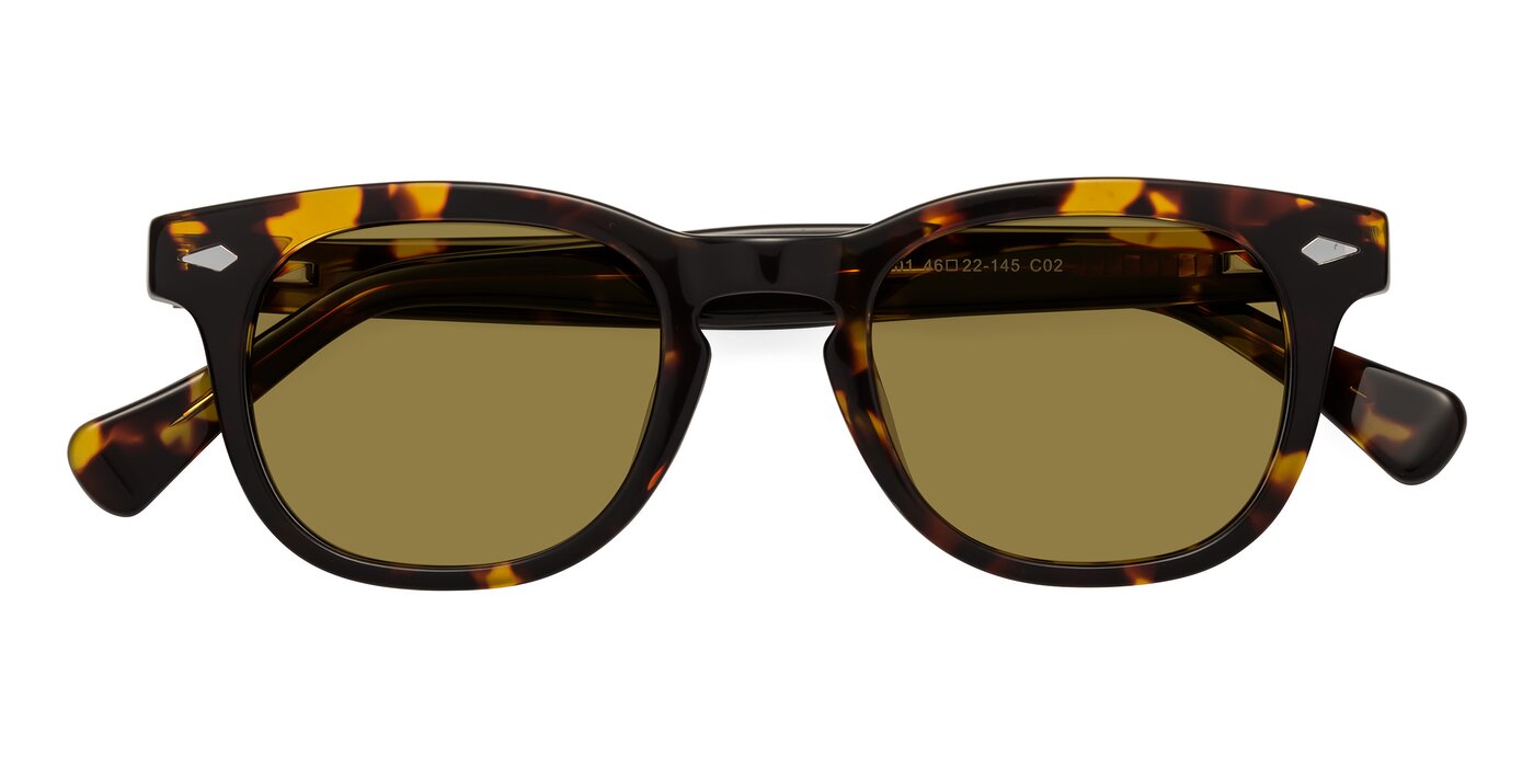 Tanna - Tortoise Polarized Sunglasses