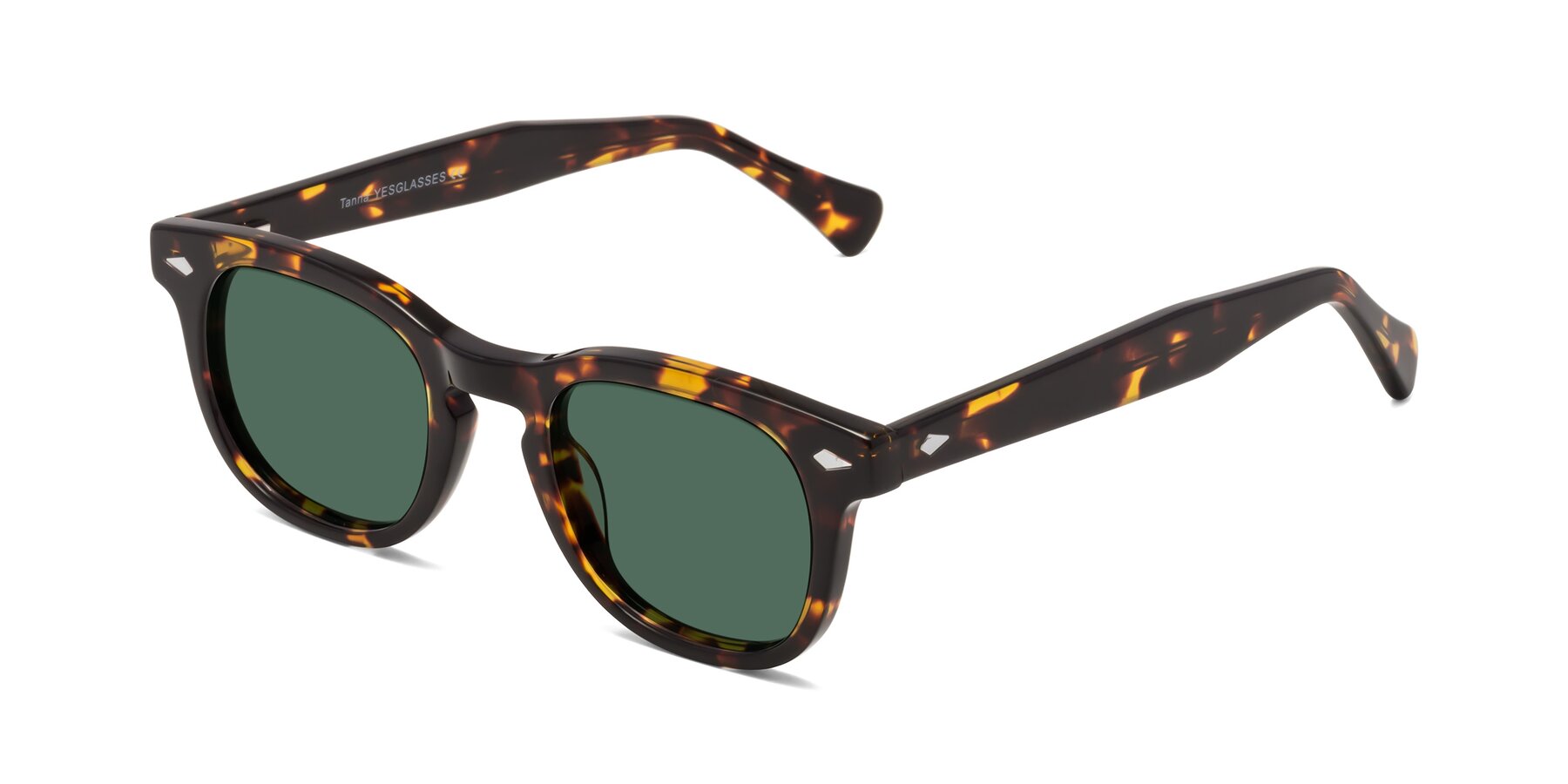 Angle of Tanna in Tortoise with Green Polarized Lenses