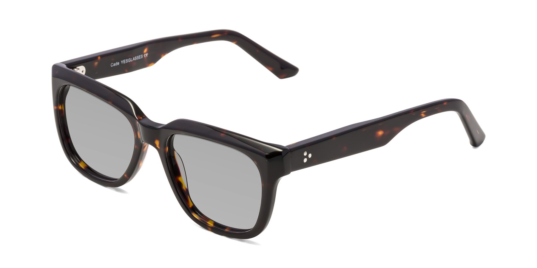 Angle of Cade in Tortoise with Light Gray Tinted Lenses