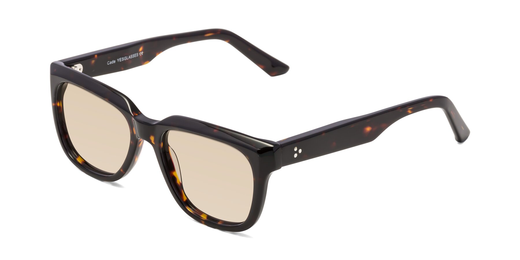 Angle of Cade in Tortoise with Light Brown Tinted Lenses