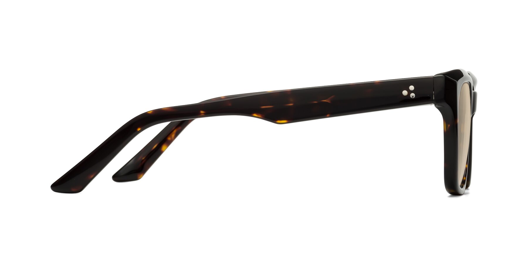 Side of Cade in Tortoise with Light Brown Tinted Lenses