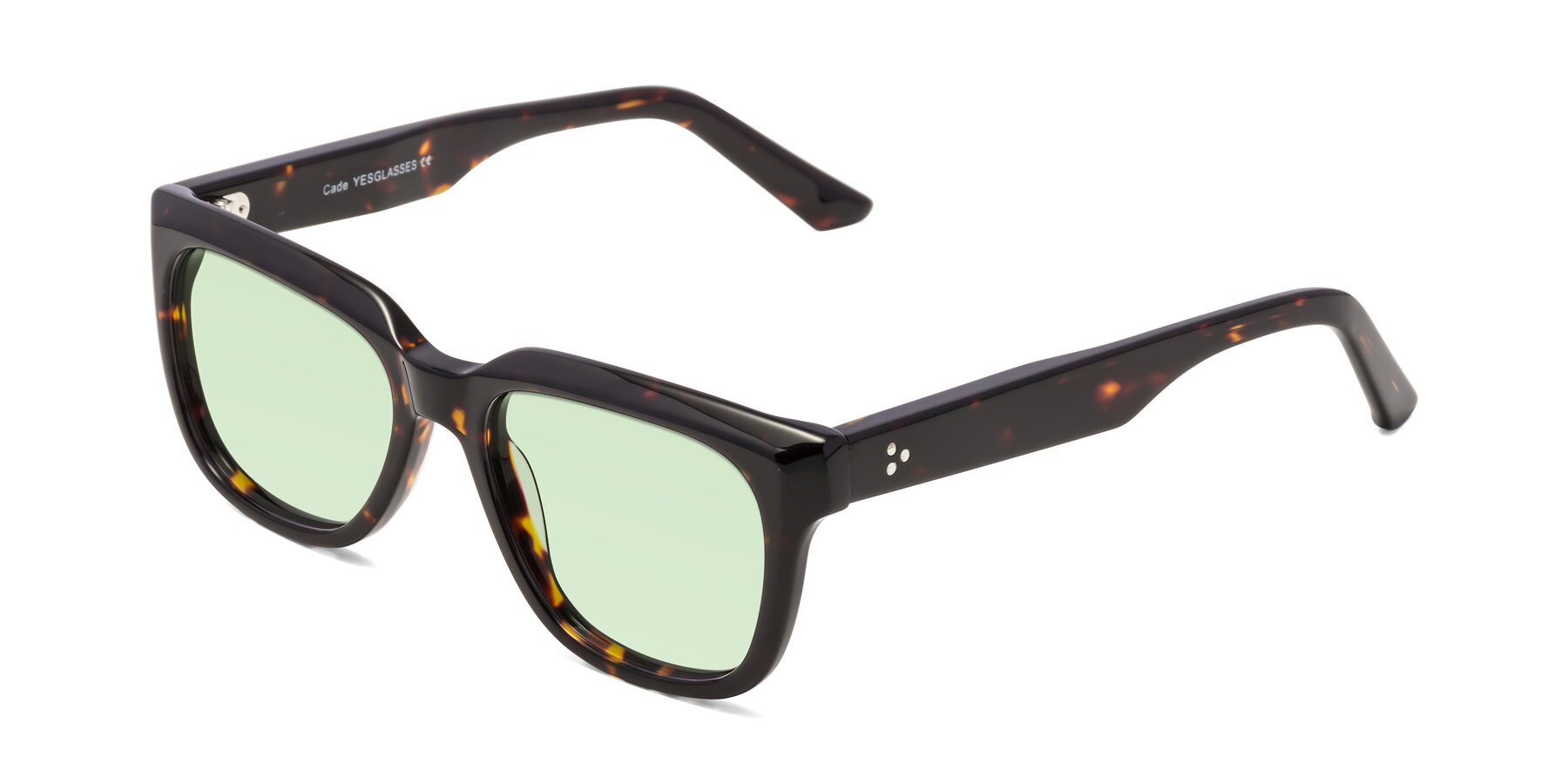 Angle of Cade in Tortoise with Light Green Tinted Lenses