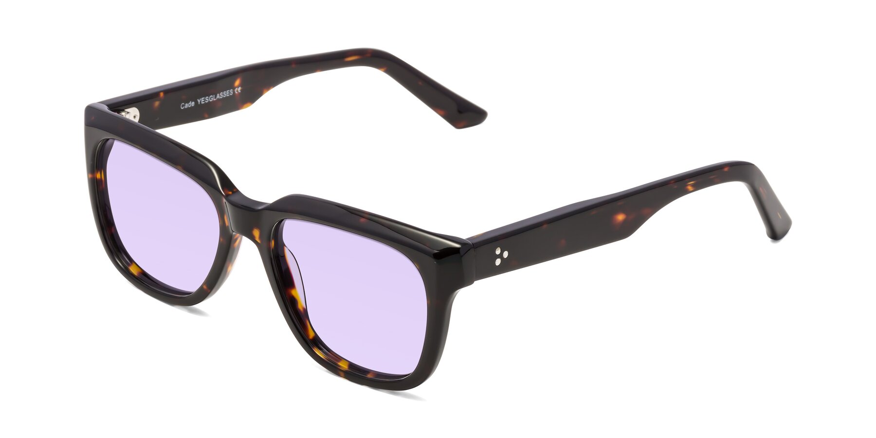 Angle of Cade in Tortoise with Light Purple Tinted Lenses