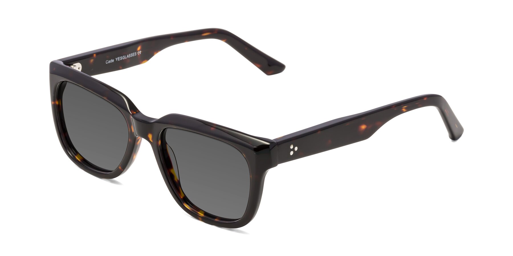 Angle of Cade in Tortoise with Medium Gray Tinted Lenses