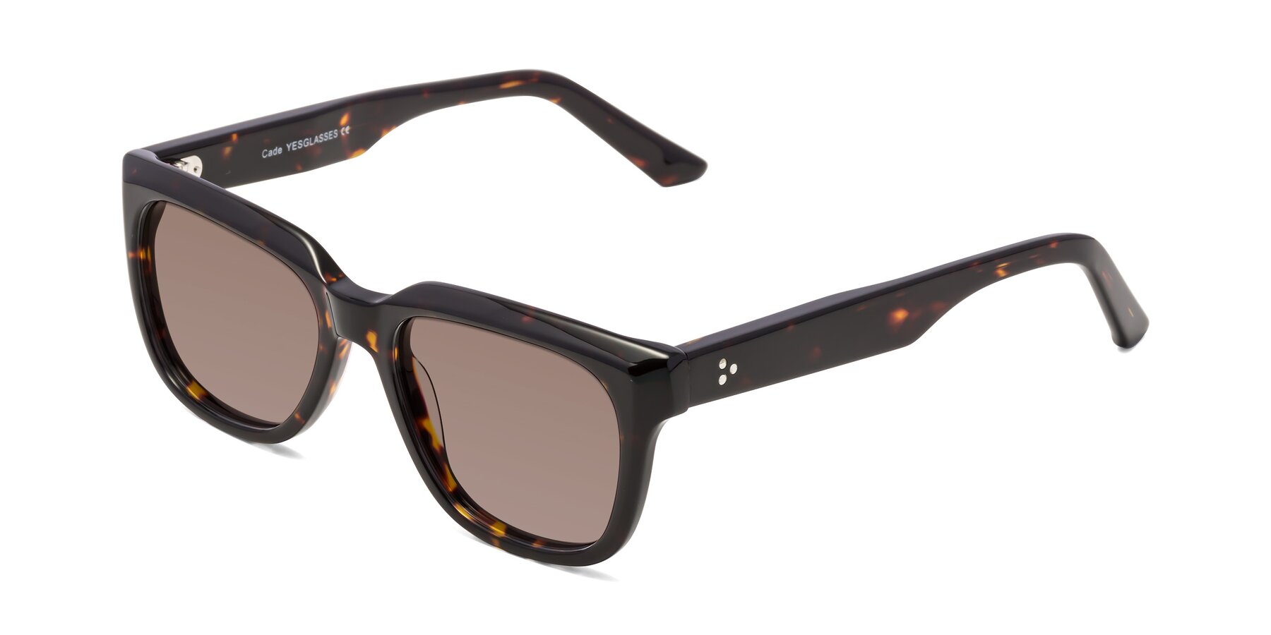 Angle of Cade in Tortoise with Medium Brown Tinted Lenses