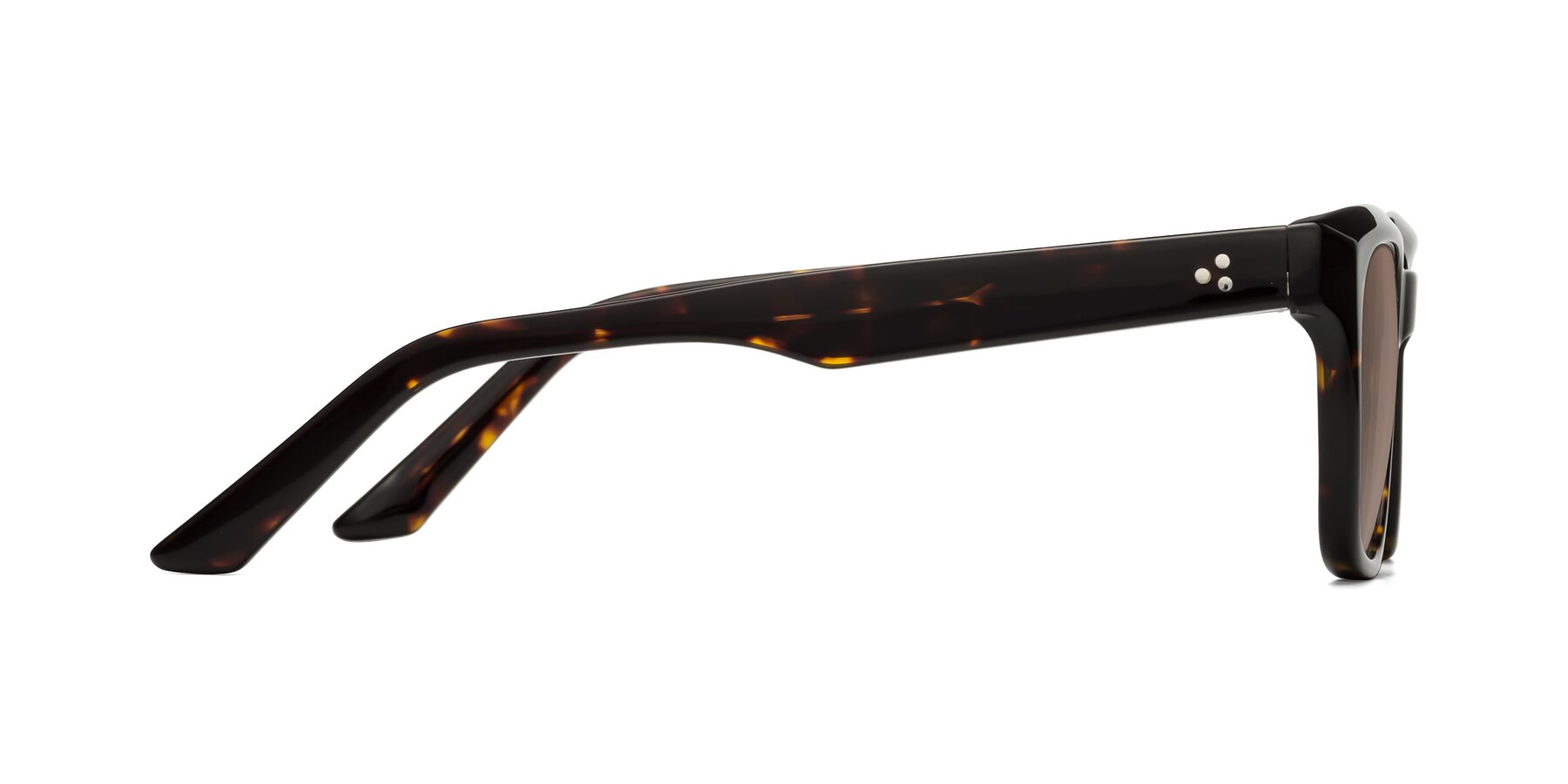 Side of Cade in Tortoise with Medium Brown Tinted Lenses