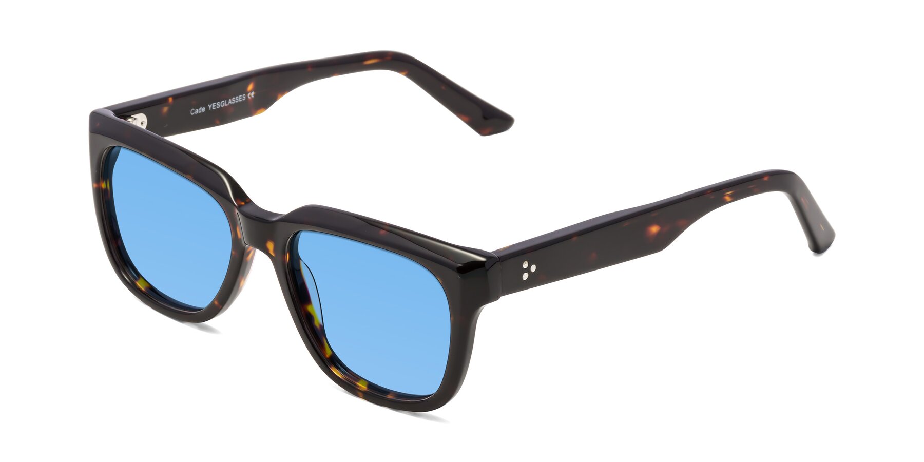 Angle of Cade in Tortoise with Medium Blue Tinted Lenses