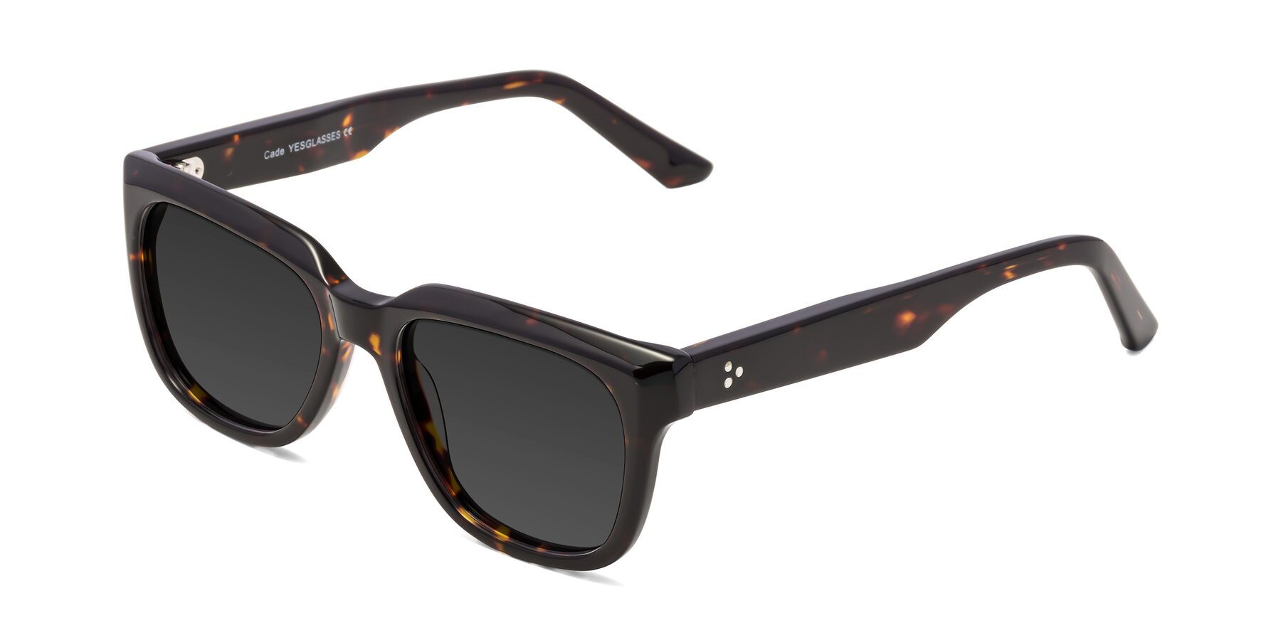 Angle of Cade in Tortoise with Gray Tinted Lenses