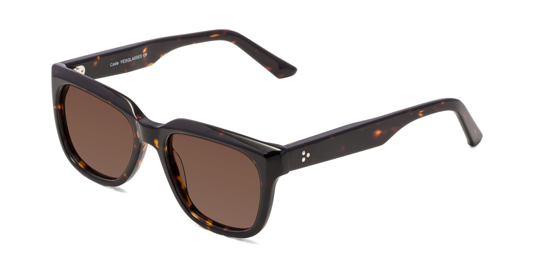 Angle of Cade in Tortoise with Brown Tinted Lenses